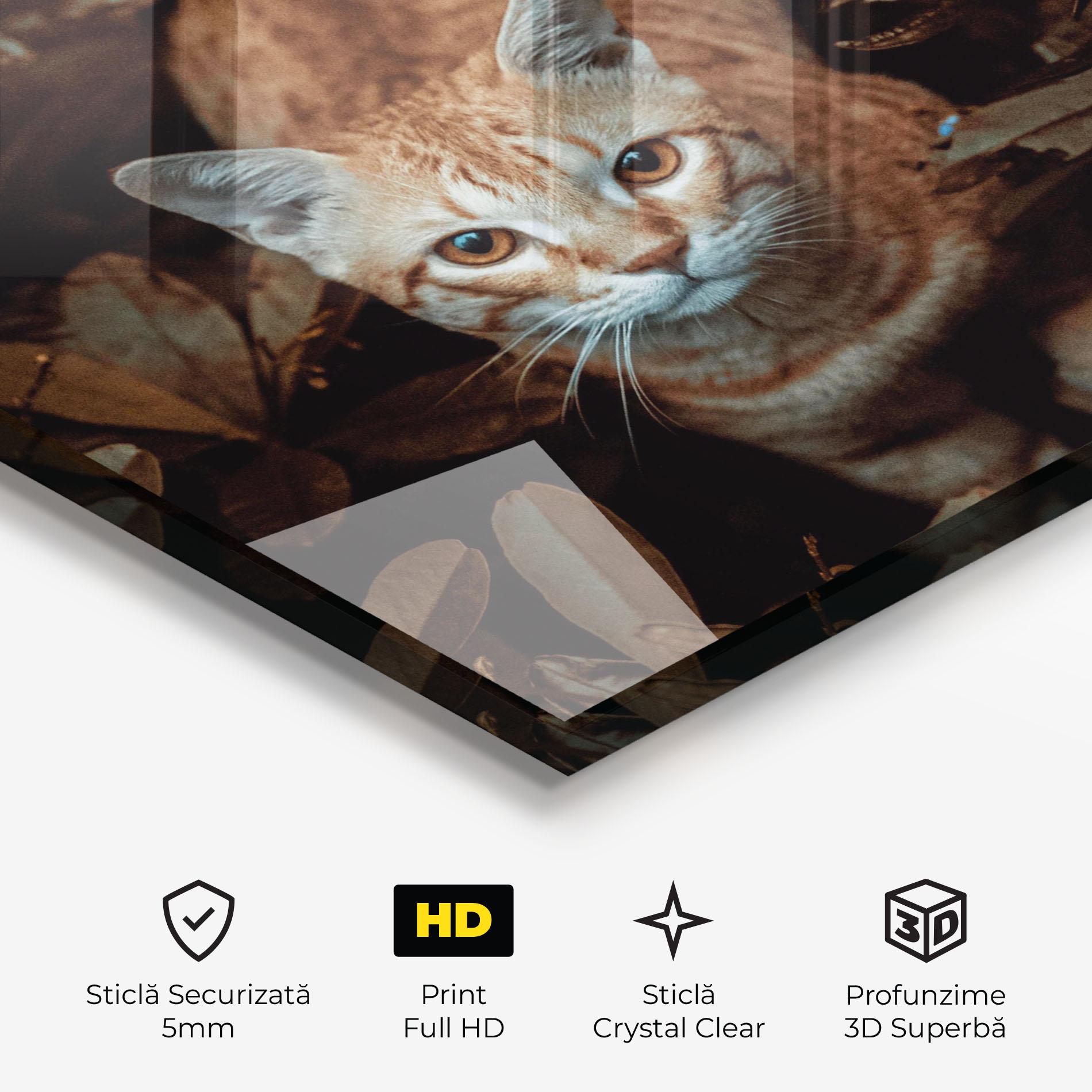Tablou Sticla Autumn Orange Cat mockup 3