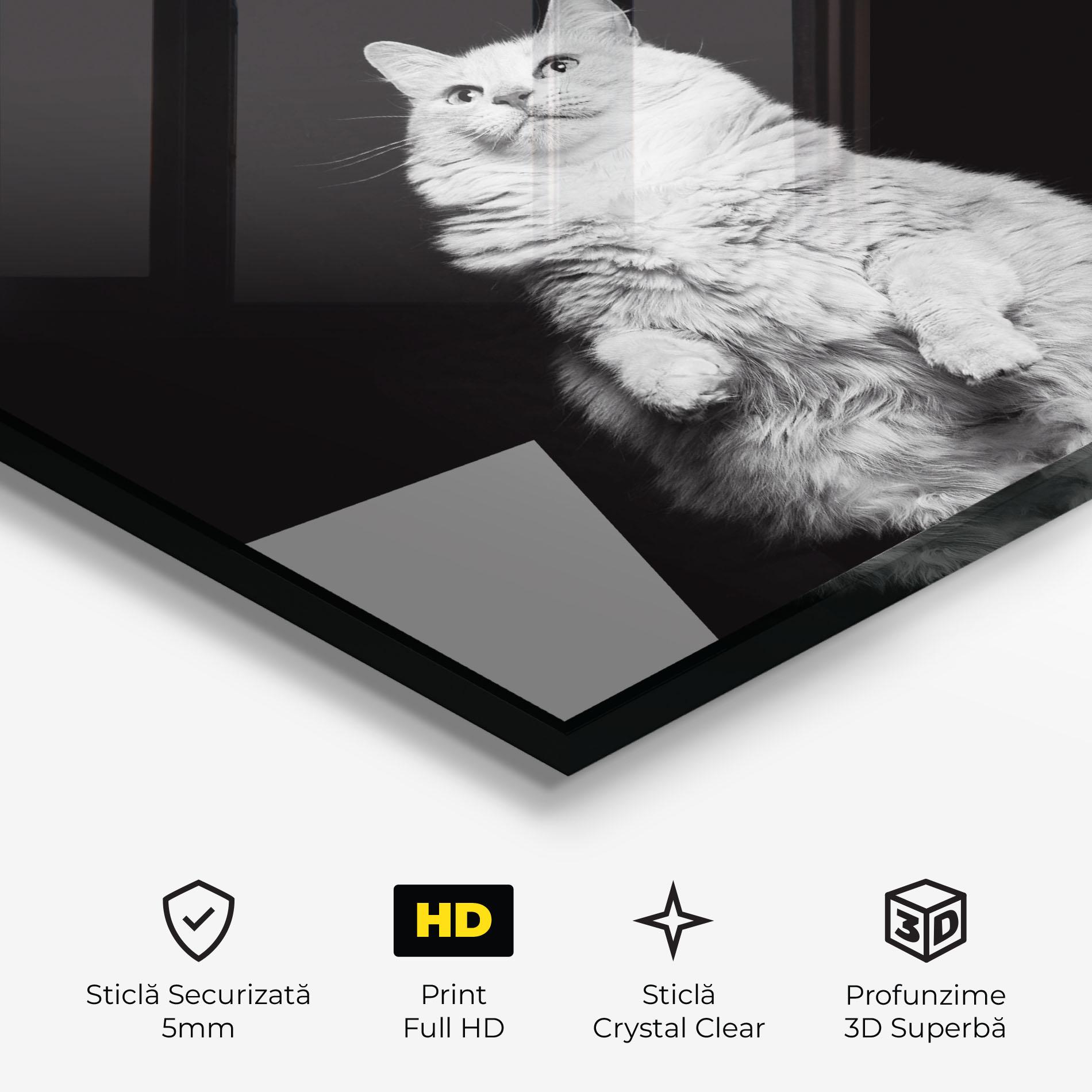 Tablou Sticla Big Fluffy Cat mockup 3