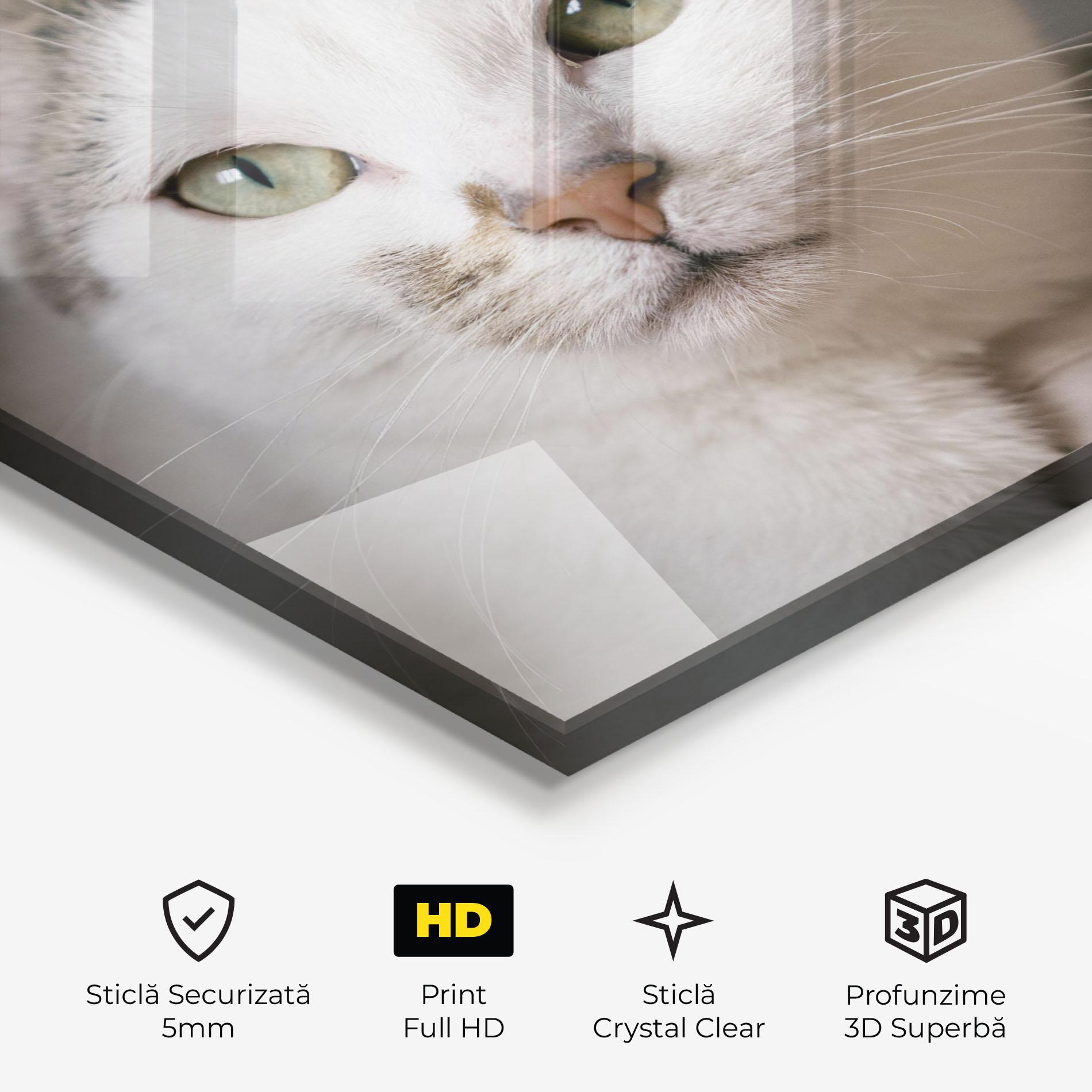 Tablou Sticla Big Sleepy Cat mockup 3