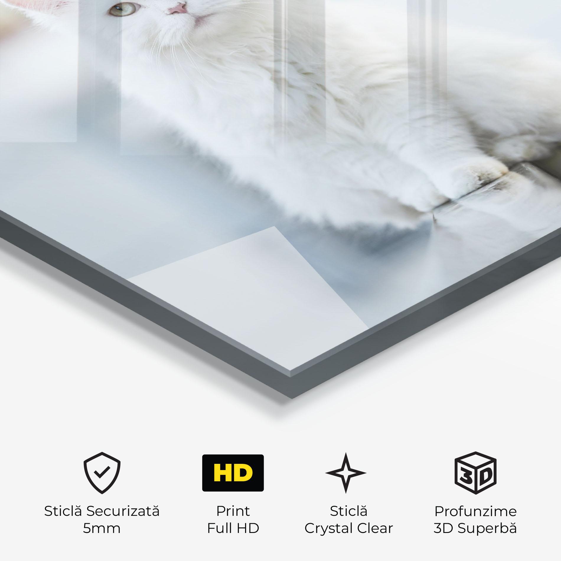 Tablou Sticla Big White Cat mockup 3