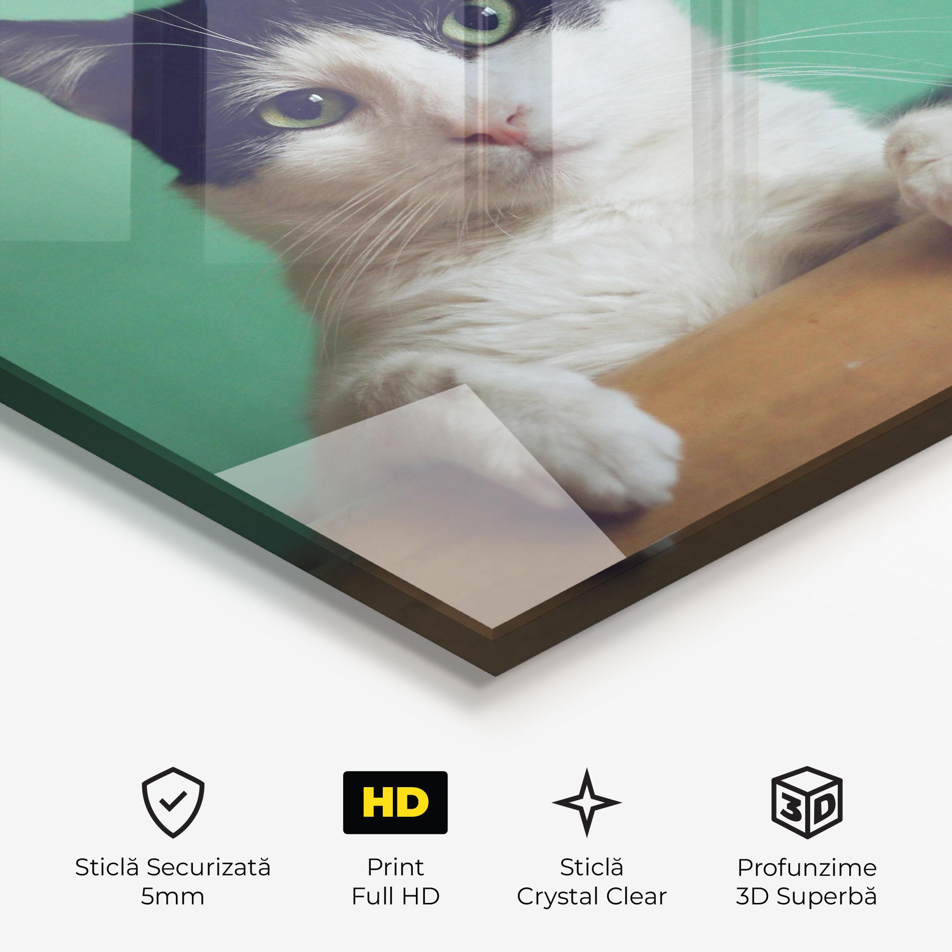 Tablou Sticla Black White Cat mockup 3