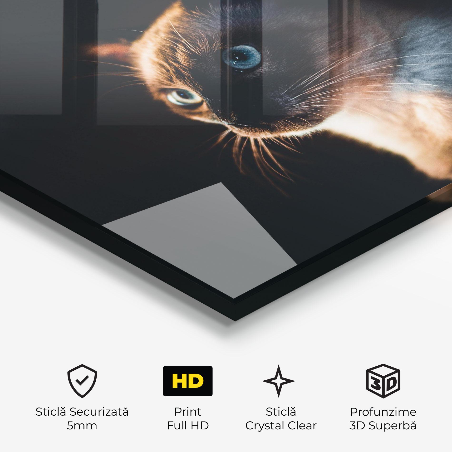 Tablou Sticla Blue Eyes Cat In Dark mockup 3