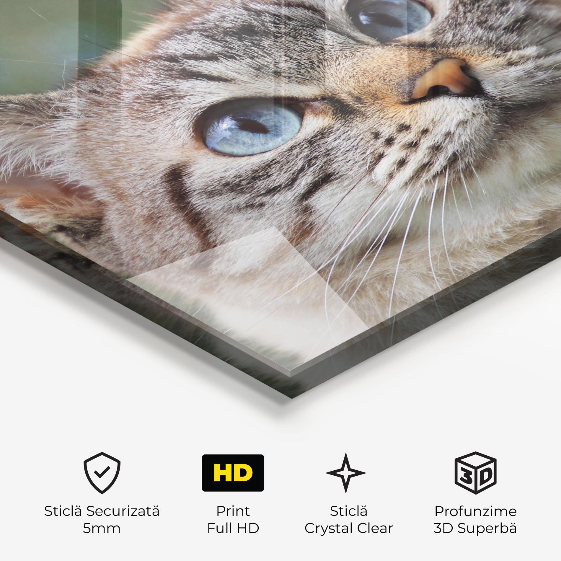 Tablou Sticla Blue Eyes Cutie mockup 3