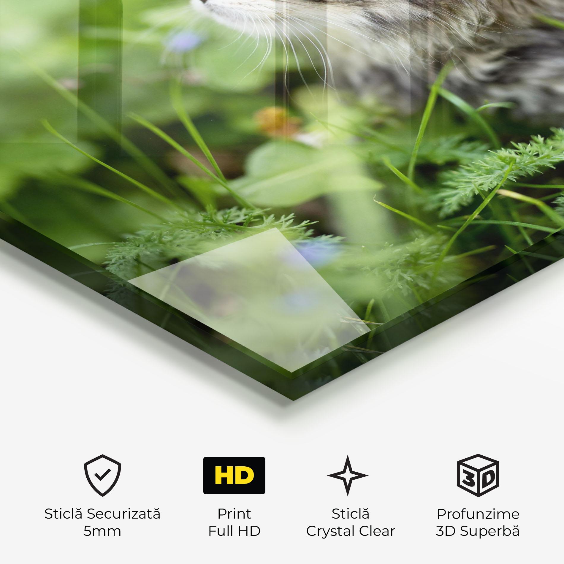 Tablou Sticla Brown Baby Cat mockup 3