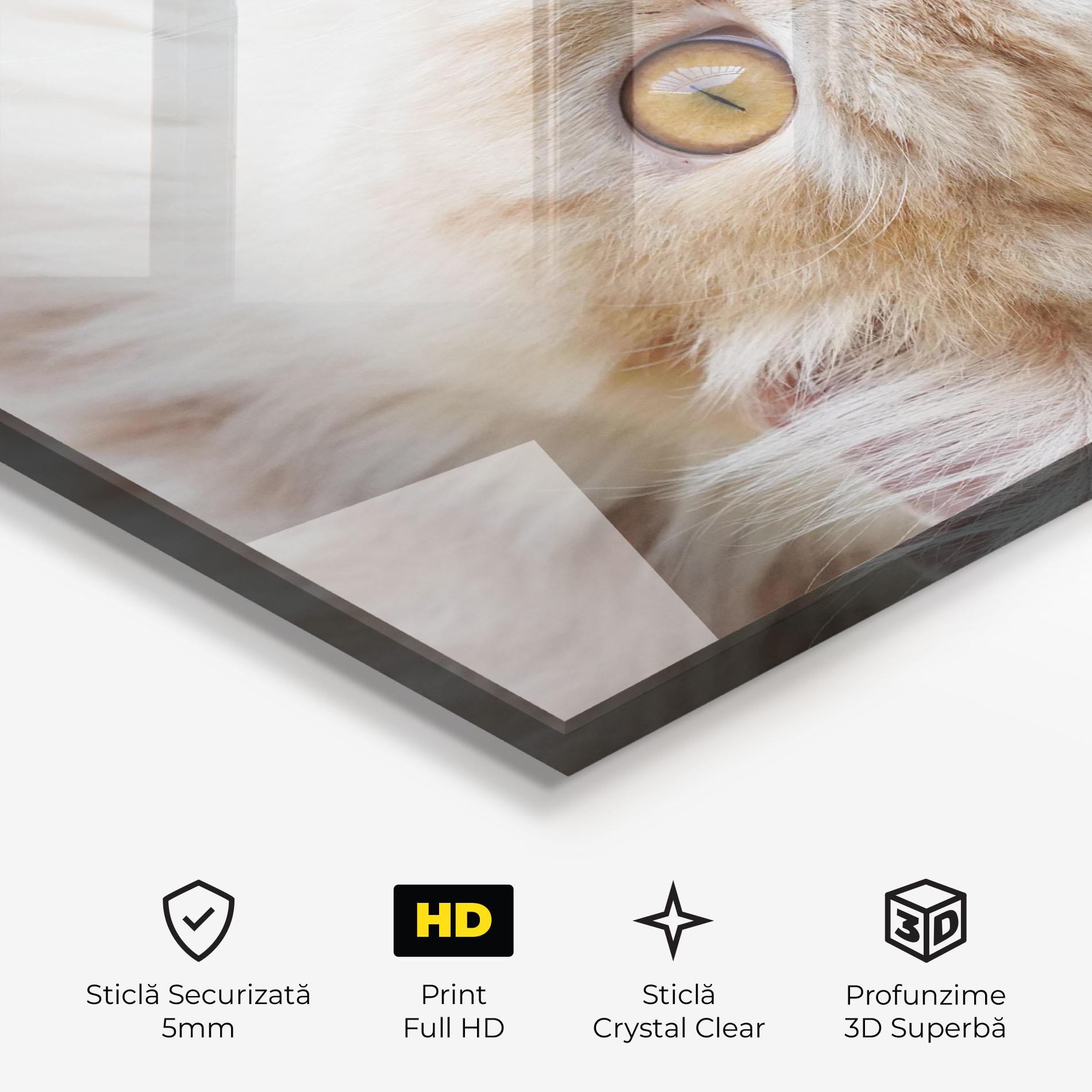 Tablou Sticla Close Up Yellow Eyes Cat mockup 3