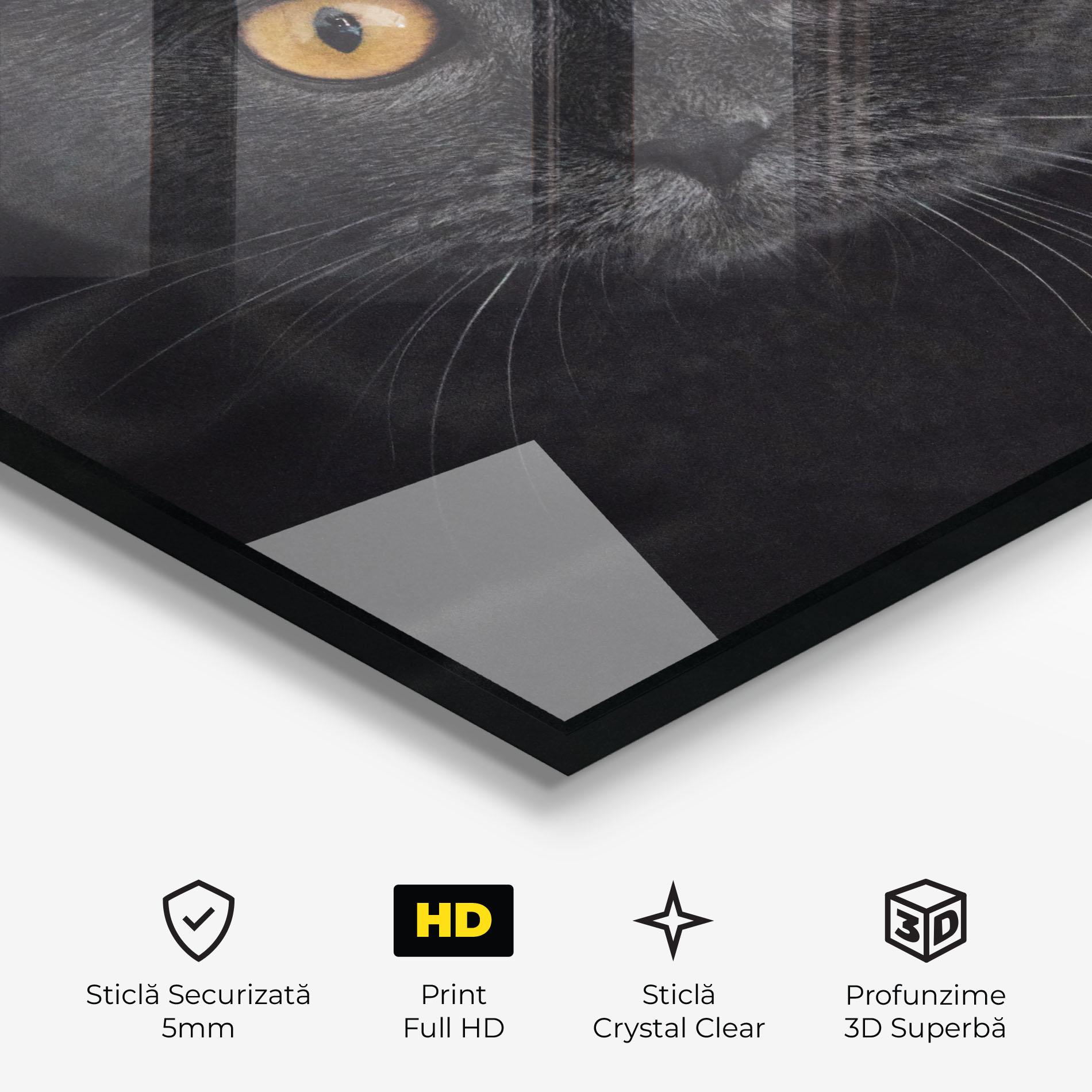 Tablou Sticla Grey Cat With Orange Eyes mockup 3