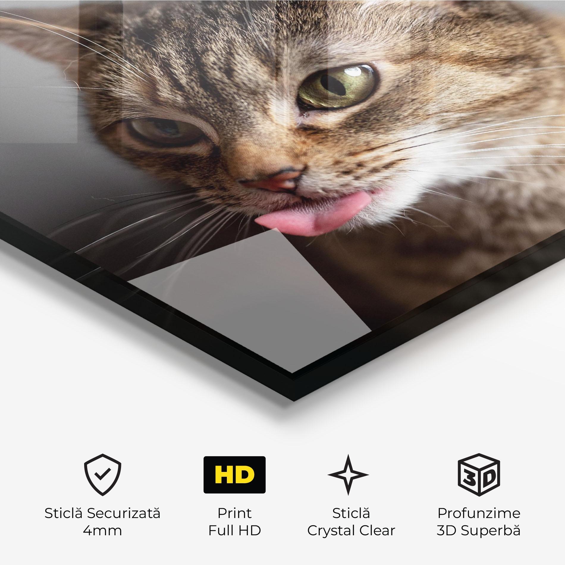 Tablou Sticla Brown Green Eyes Cat mockup 3