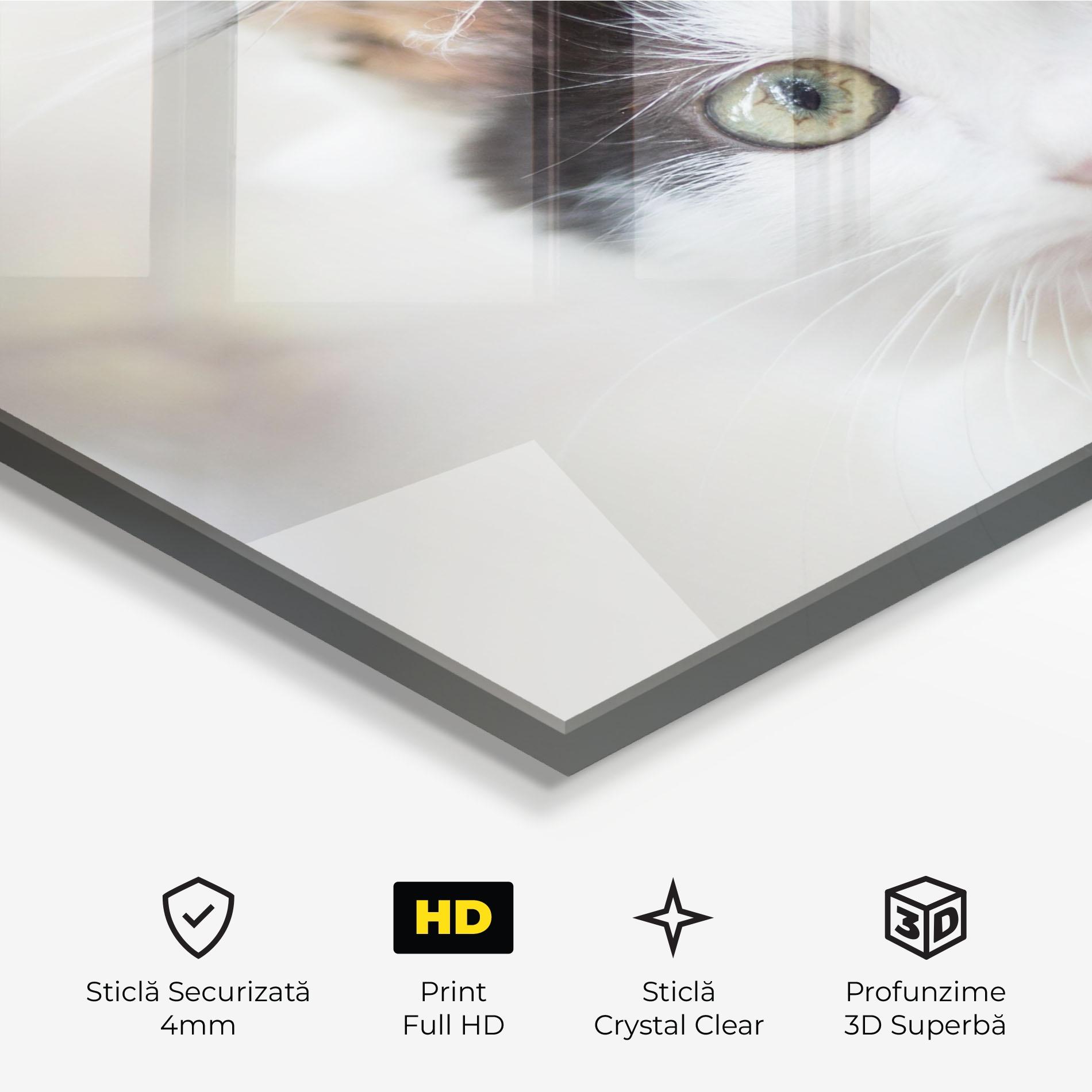 Tablou Sticla Cutie Cat mockup 3