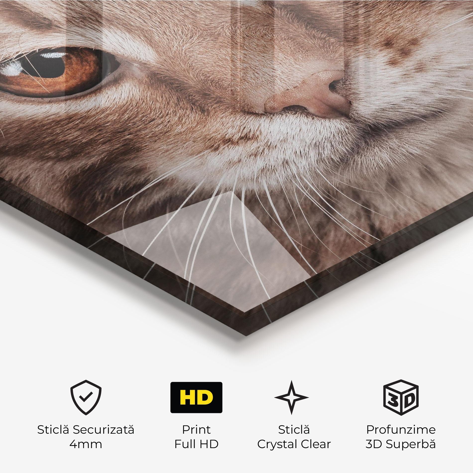 Tablou Sticla Fire Eyes Cat mockup 3