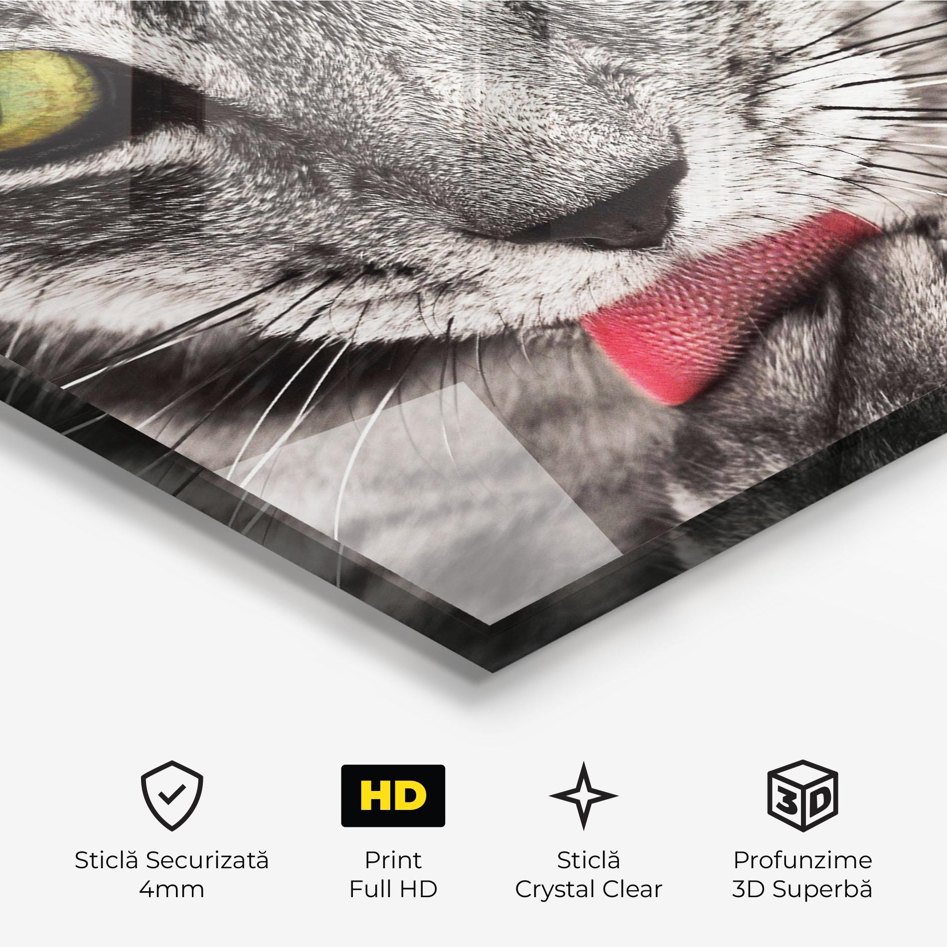 Tablou Sticla Green Eyes Close Up Cat mockup 3