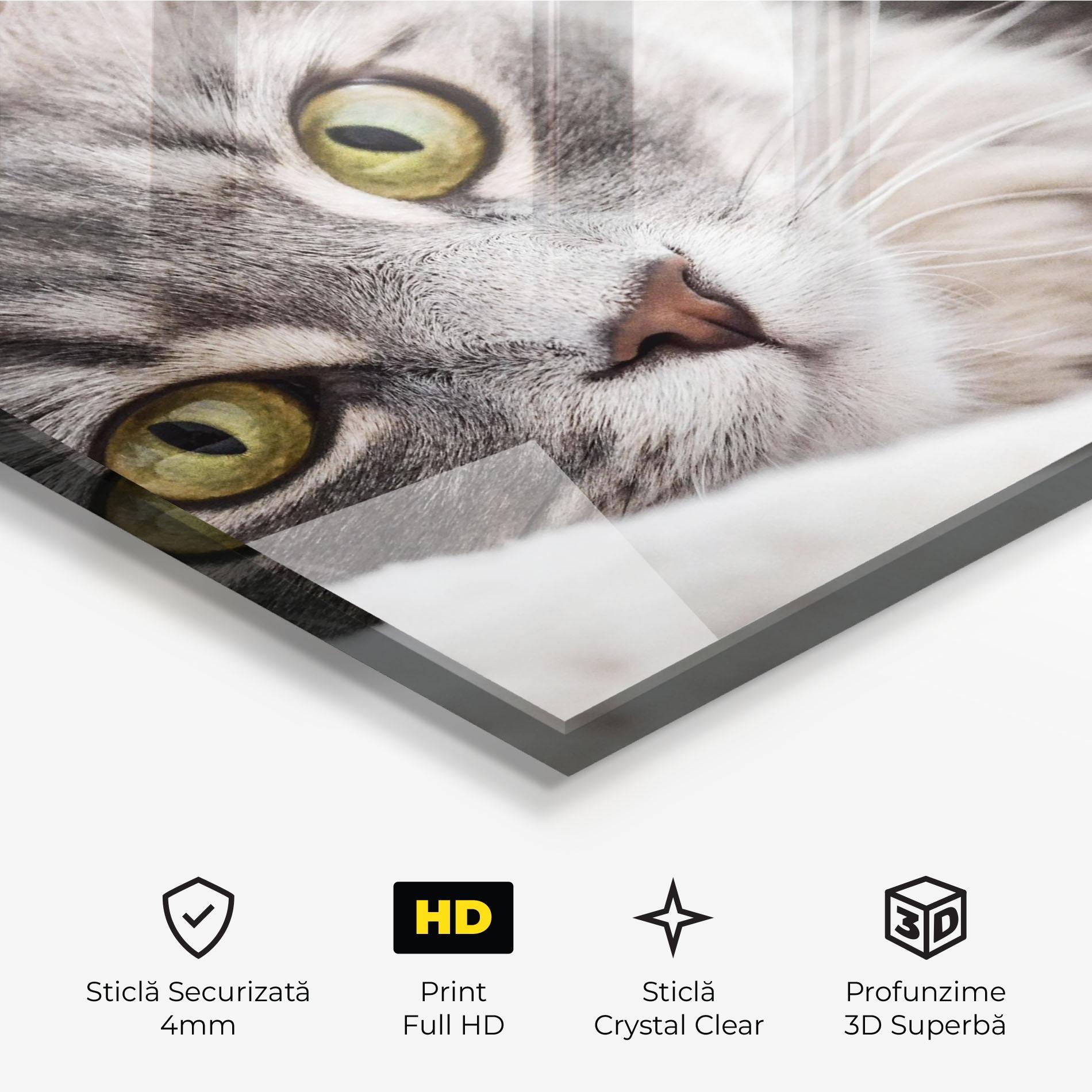 Tablou Sticla Grey Fluffy Cat mockup 3
