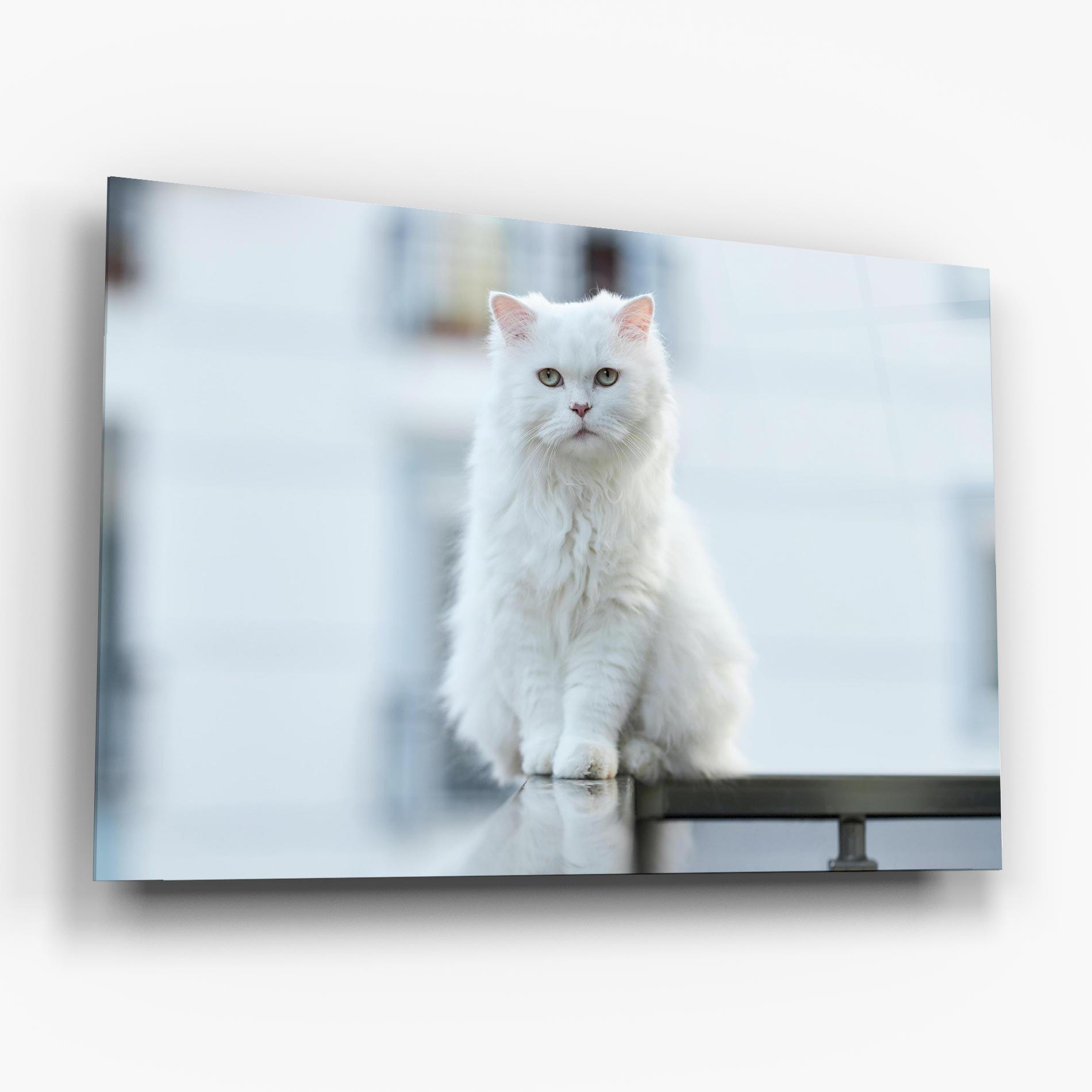 Tablou Sticla Big White Cat mockup 6