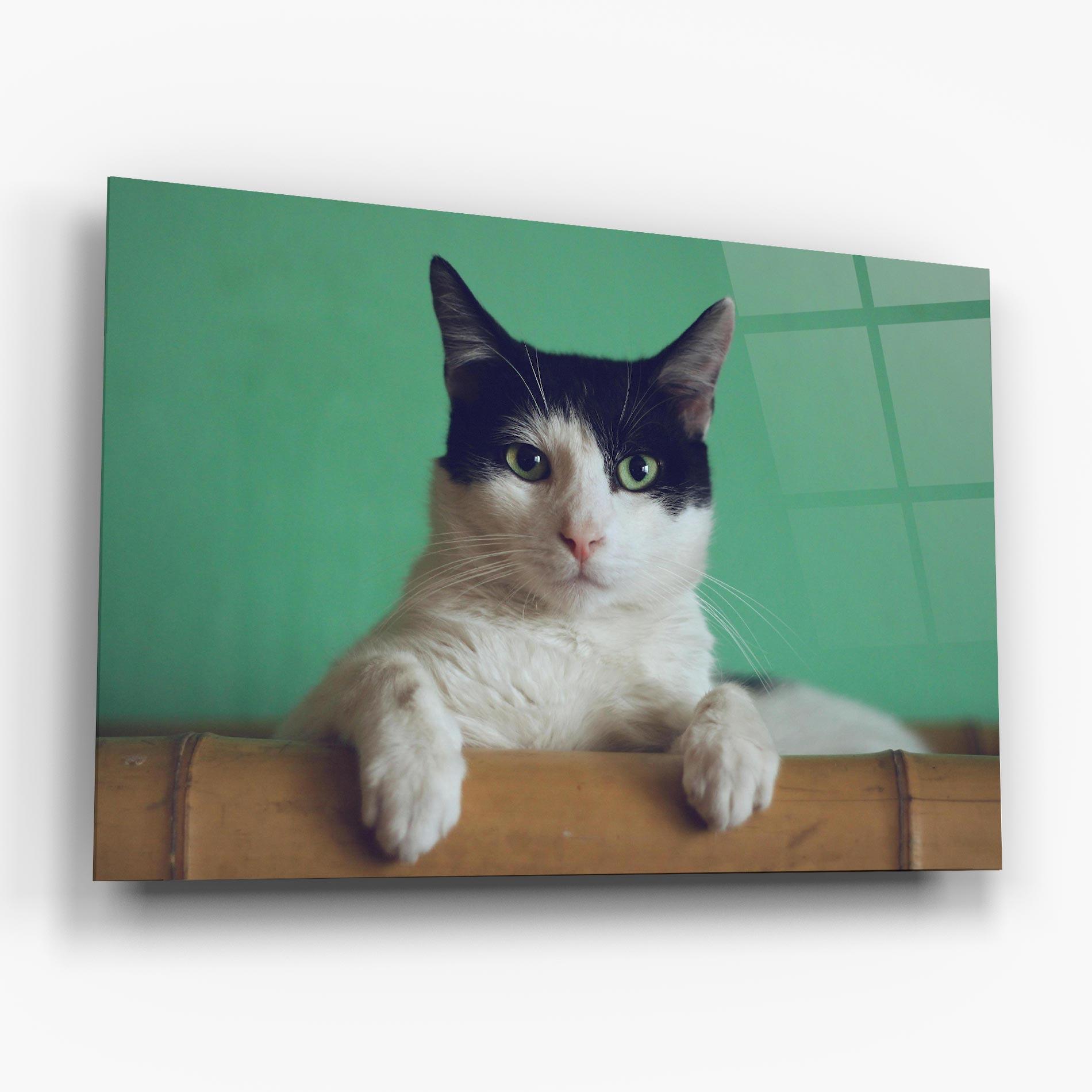 Tablou Sticla Black White Cat mockup 6