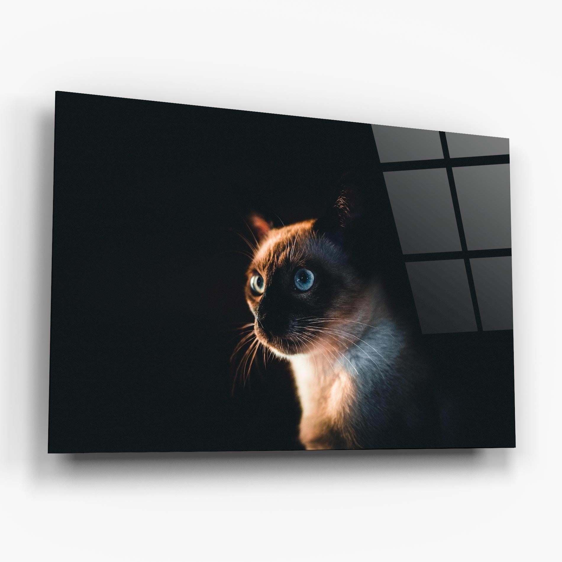 Tablou Sticla Blue Eyes Cat In Dark mockup 6