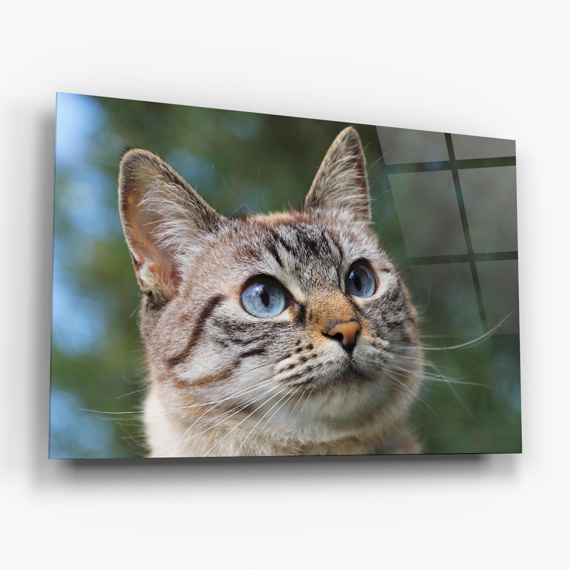 Tablou Sticla Blue Eyes Cutie mockup 6