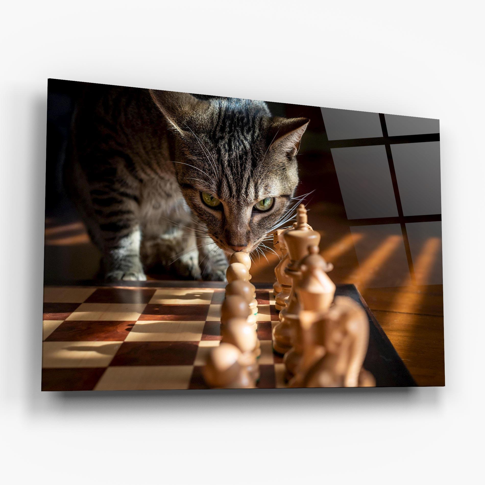 Tablou Sticla Chess Cat mockup 6