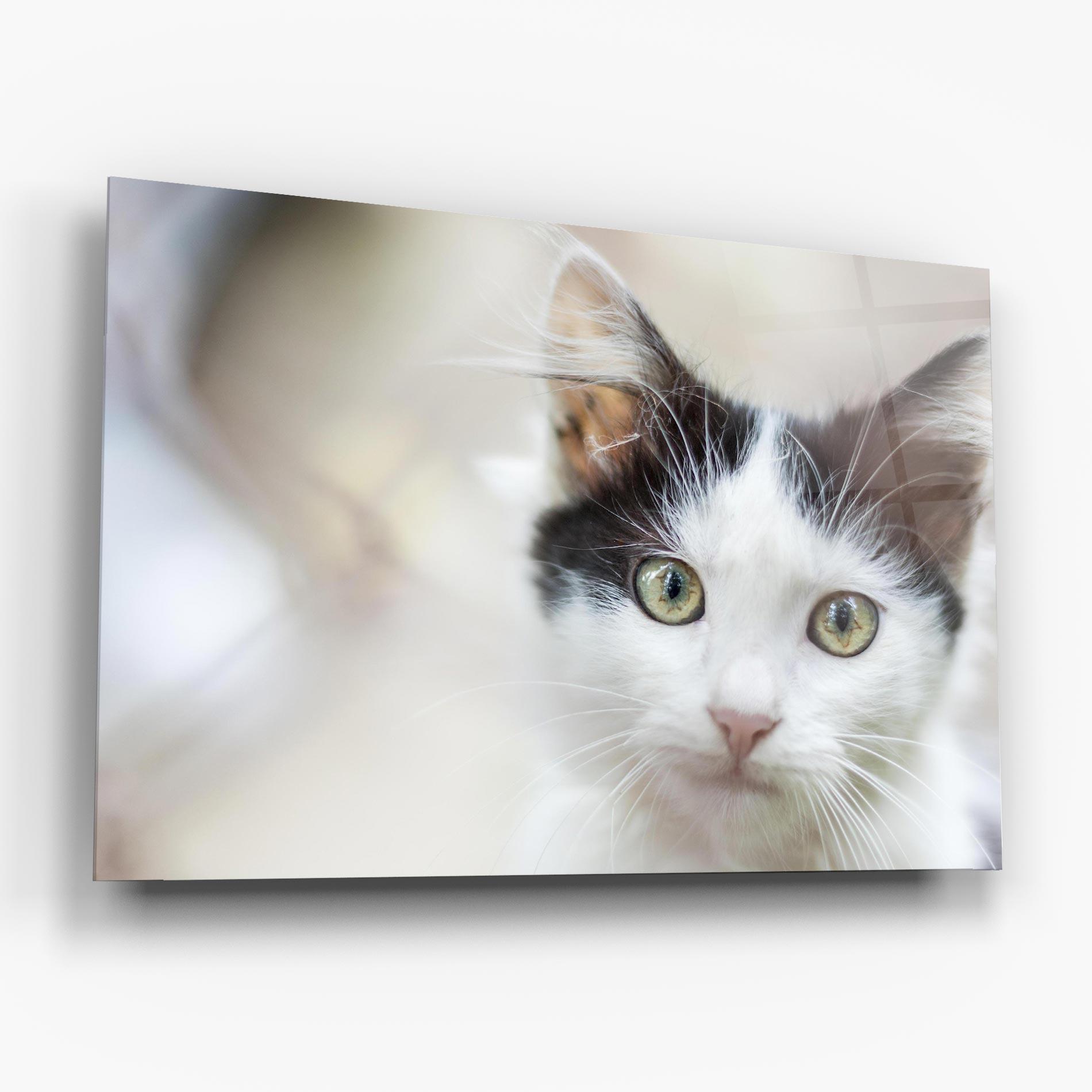 Tablou Sticla Cutie Cat mockup 6