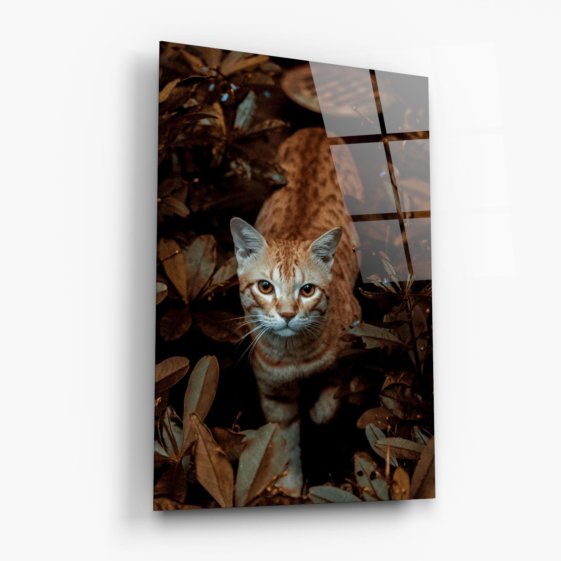 Tablou Sticla Autumn Orange Cat mockup 6