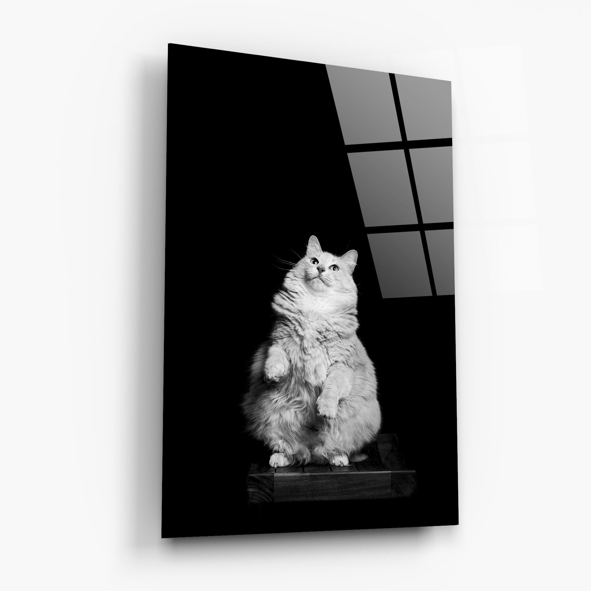 Tablou Sticla Big Fluffy Cat mockup 6