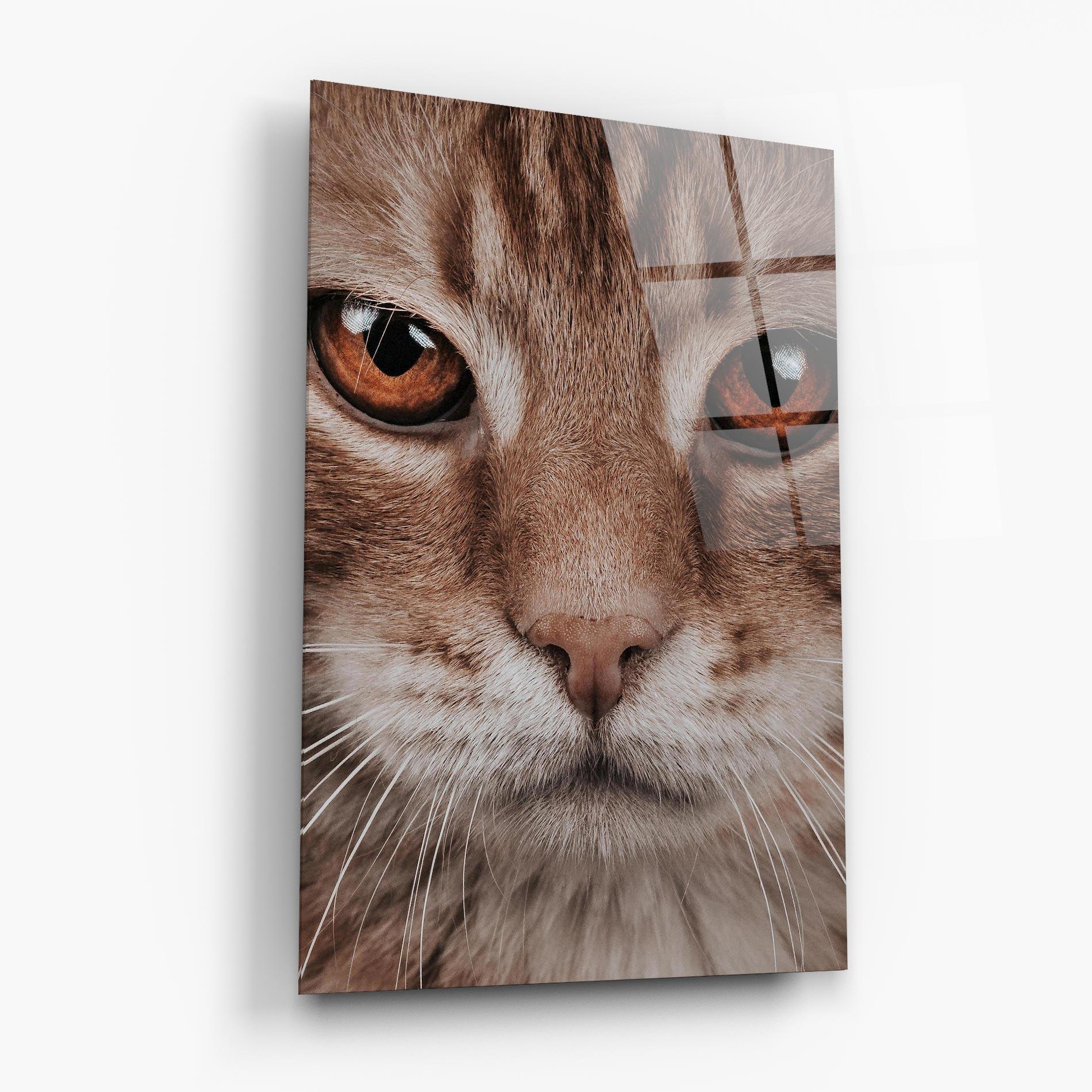 Tablou Sticla Fire Eyes Cat mockup 6
