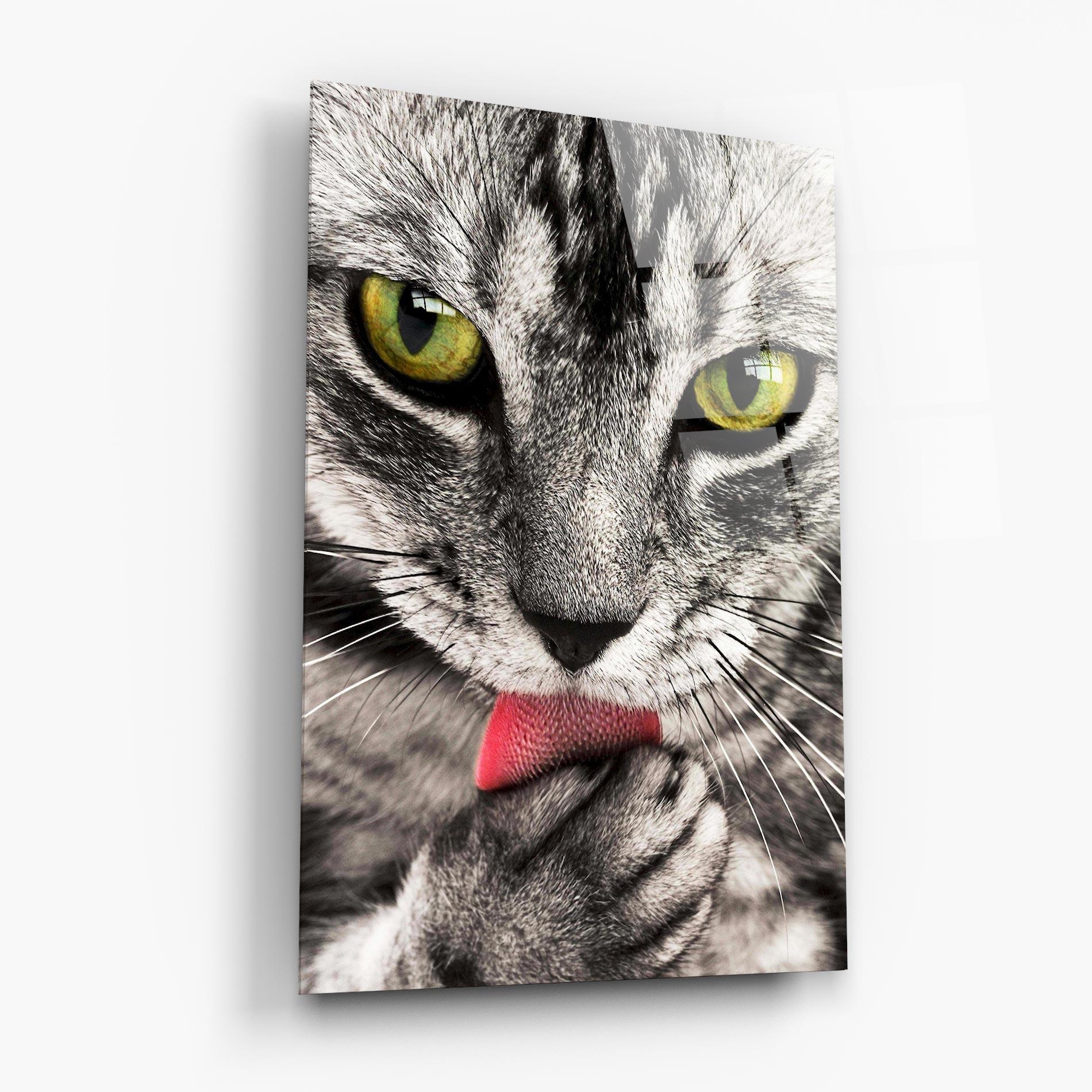 Tablou Sticla Green Eyes Close Up Cat mockup 6