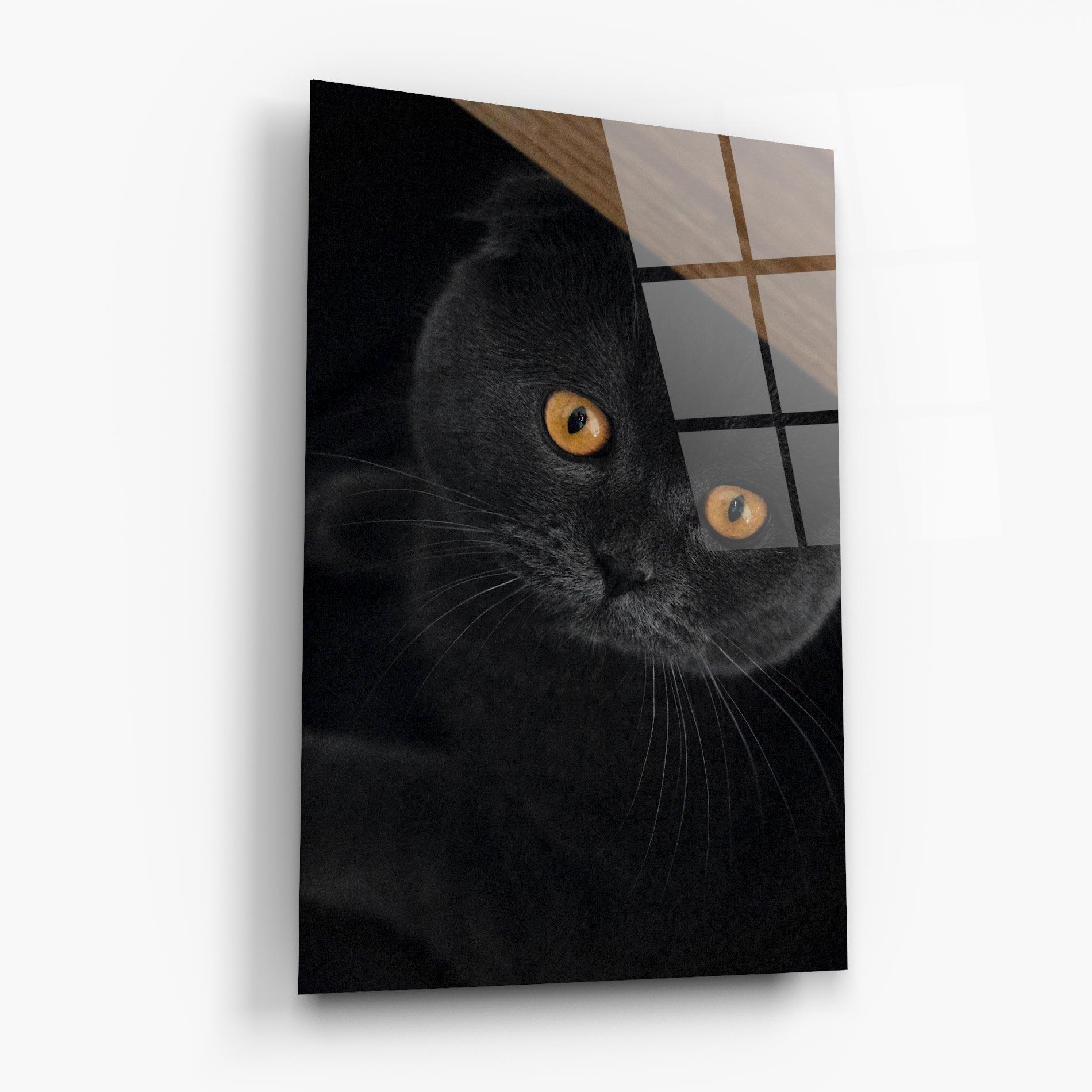 Tablou Sticla Grey Cat With Orange Eyes mockup 6