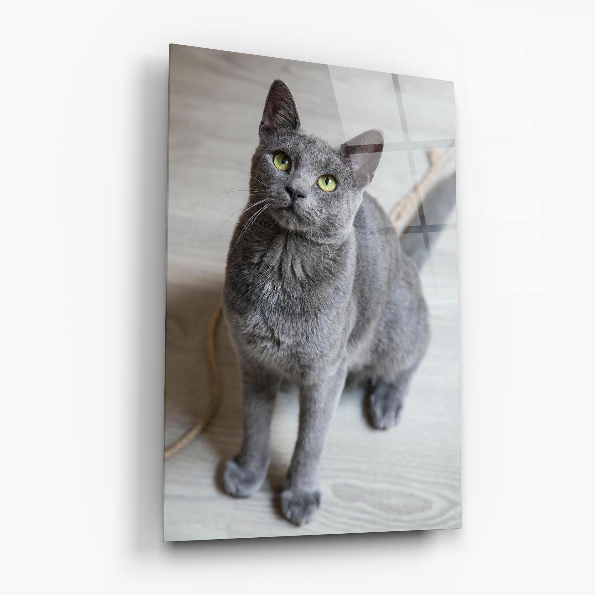 Tablou Sticla Grey Green Cat Eyes mockup 6