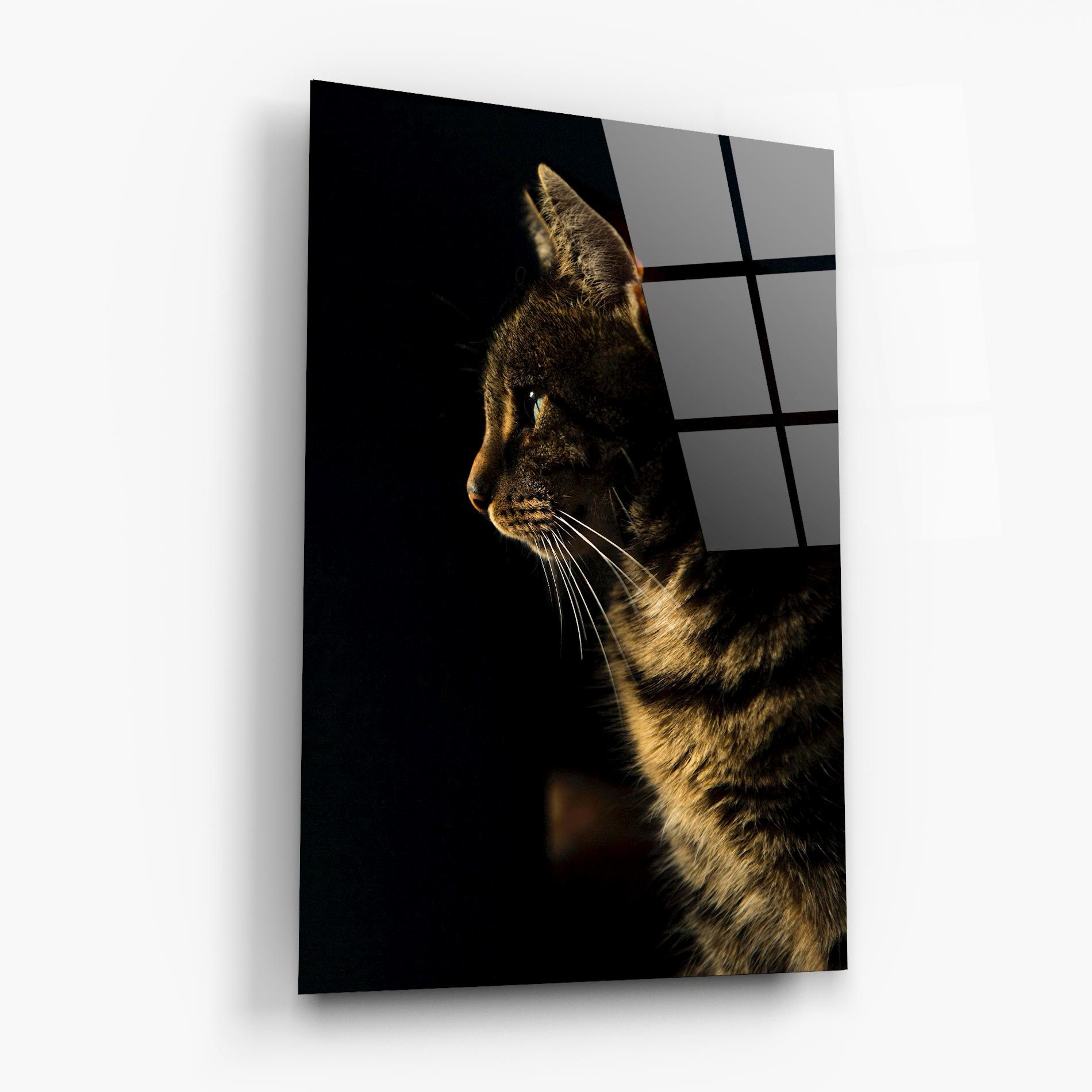 Hunting Cat mockup 6