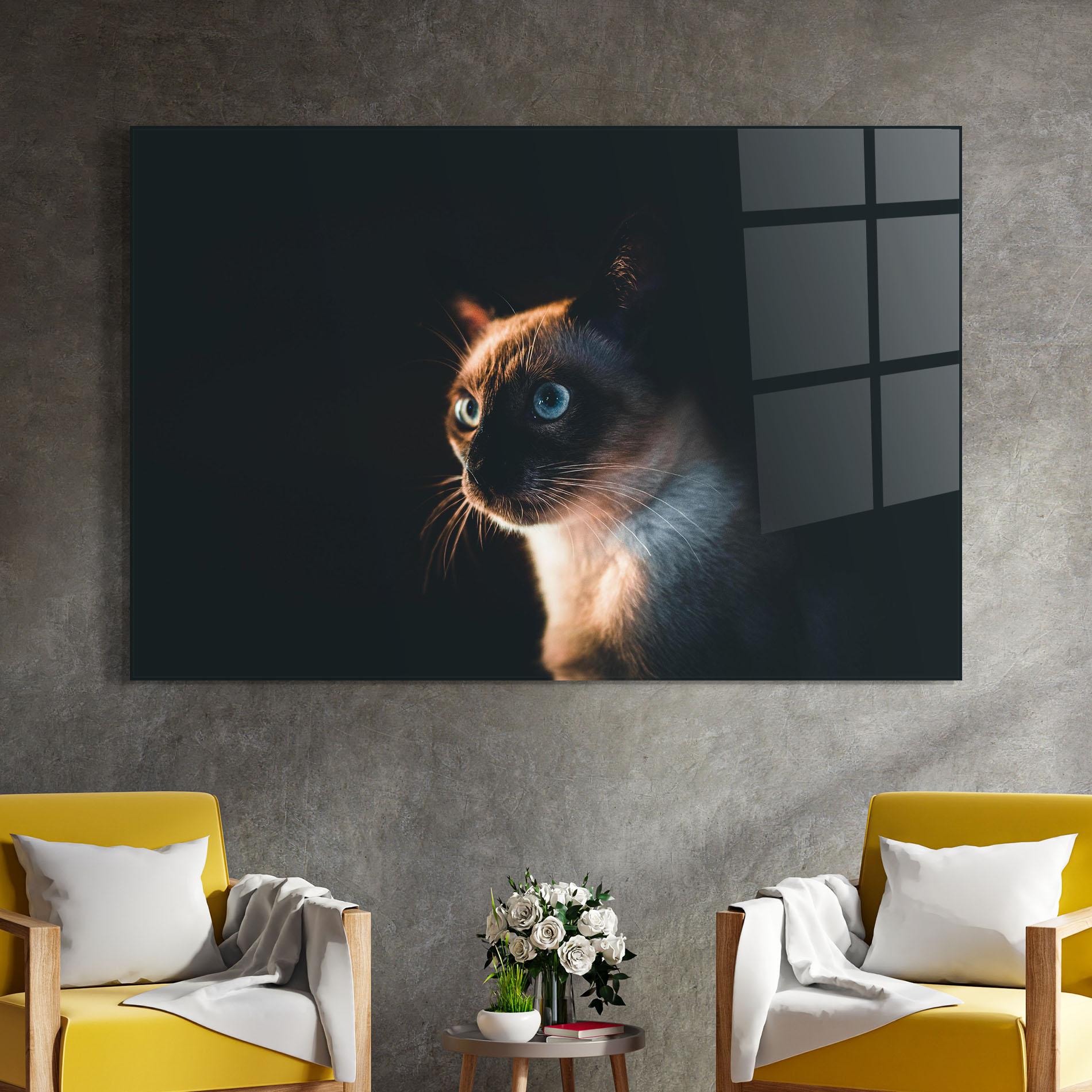 Tablou Sticla Blue Eyes Cat In Dark mockup 4