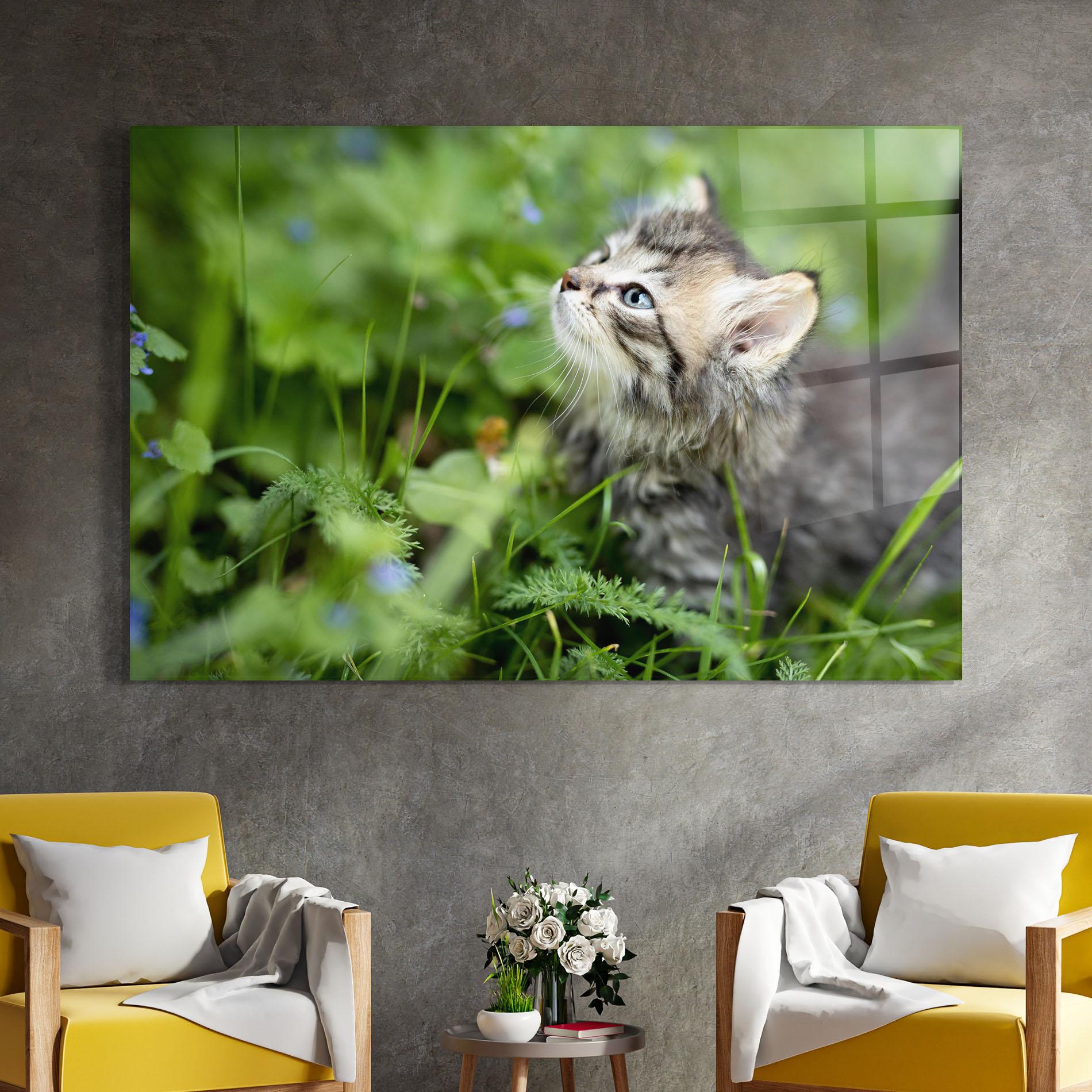 Tablou Sticla Brown Baby Cat mockup 4