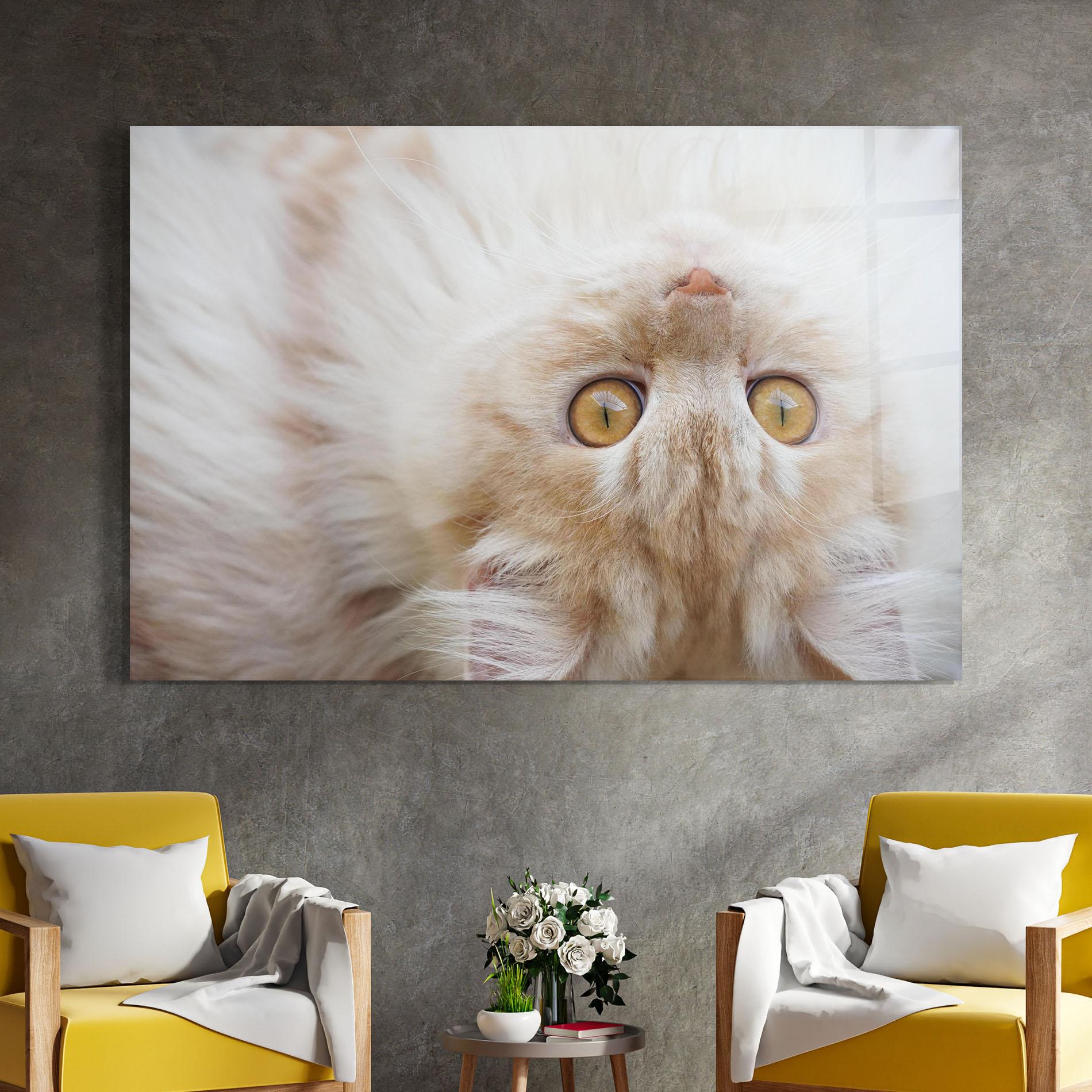 Tablou Sticla Close Up Yellow Eyes Cat mockup 4