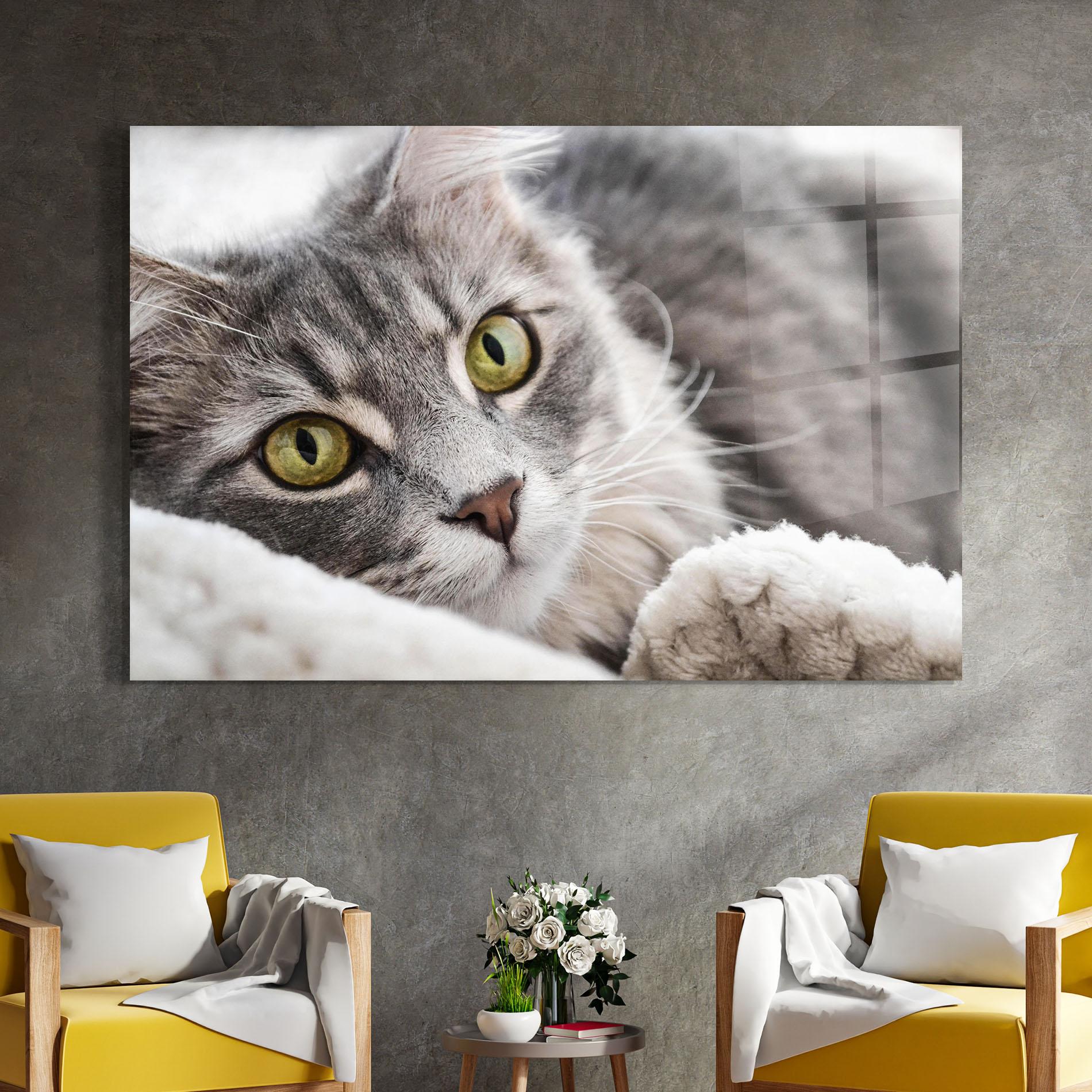 Tablou Sticla Grey Fluffy Cat mockup 4