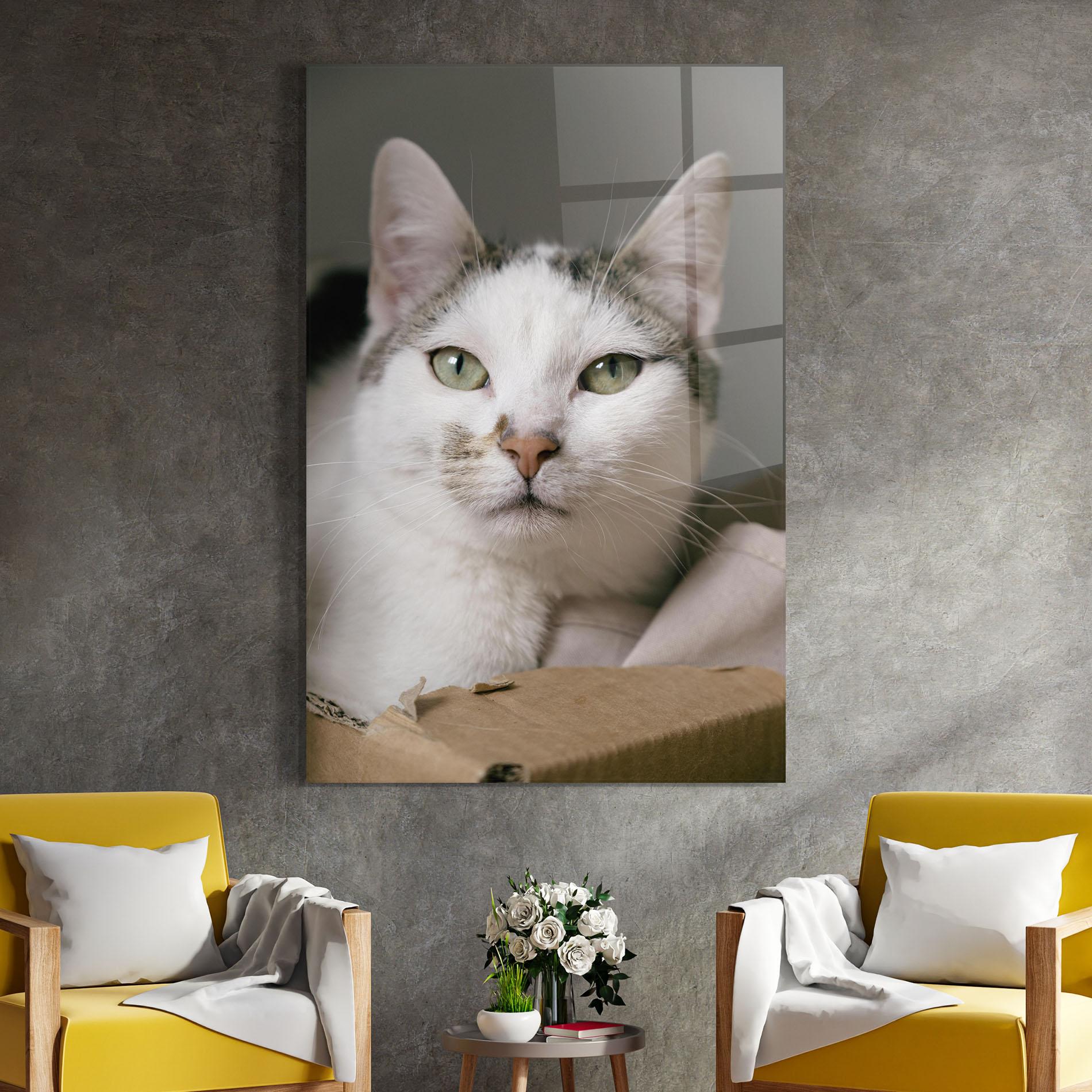 Tablou Sticla Big Sleepy Cat mockup 4