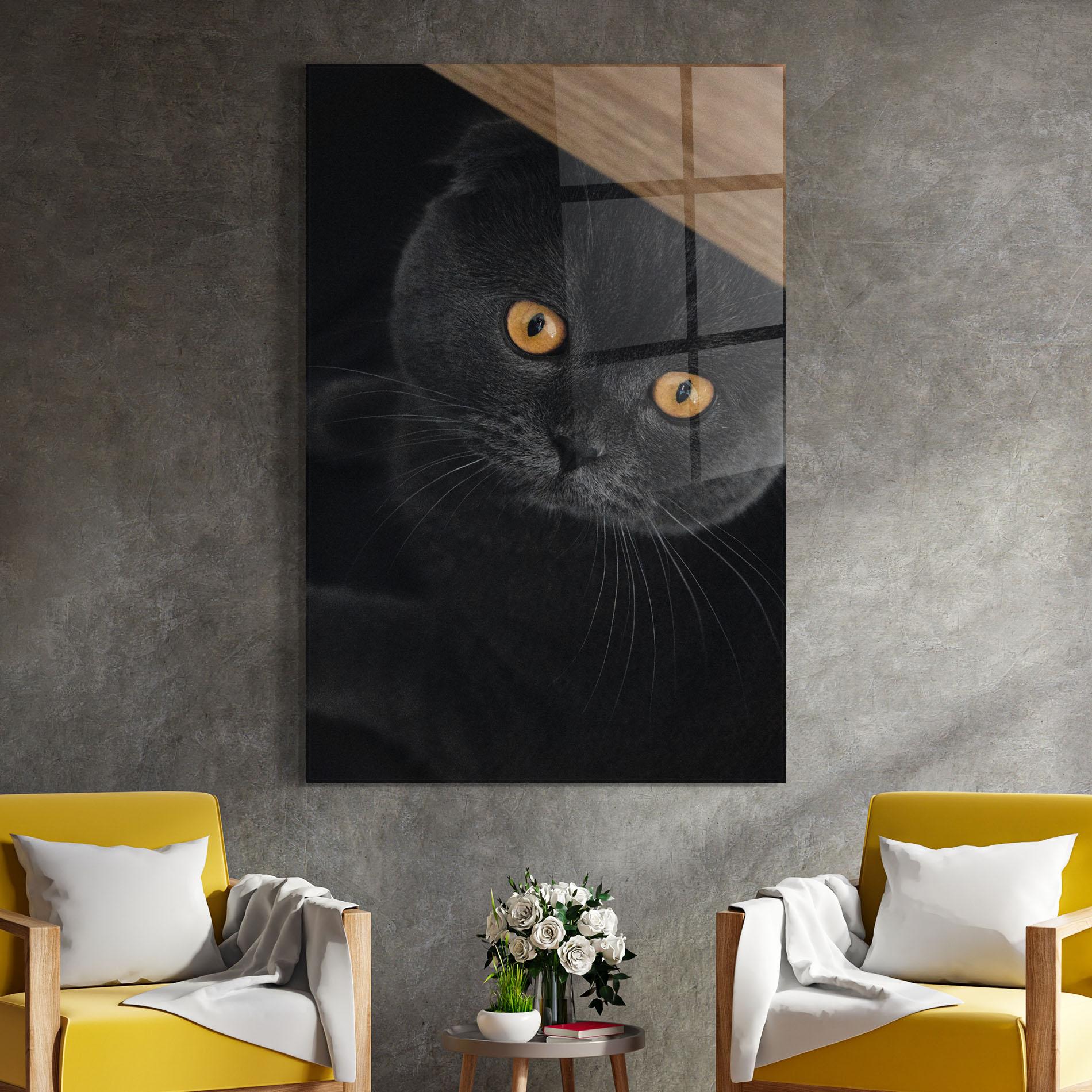 Tablou Sticla Grey Cat With Orange Eyes mockup 4