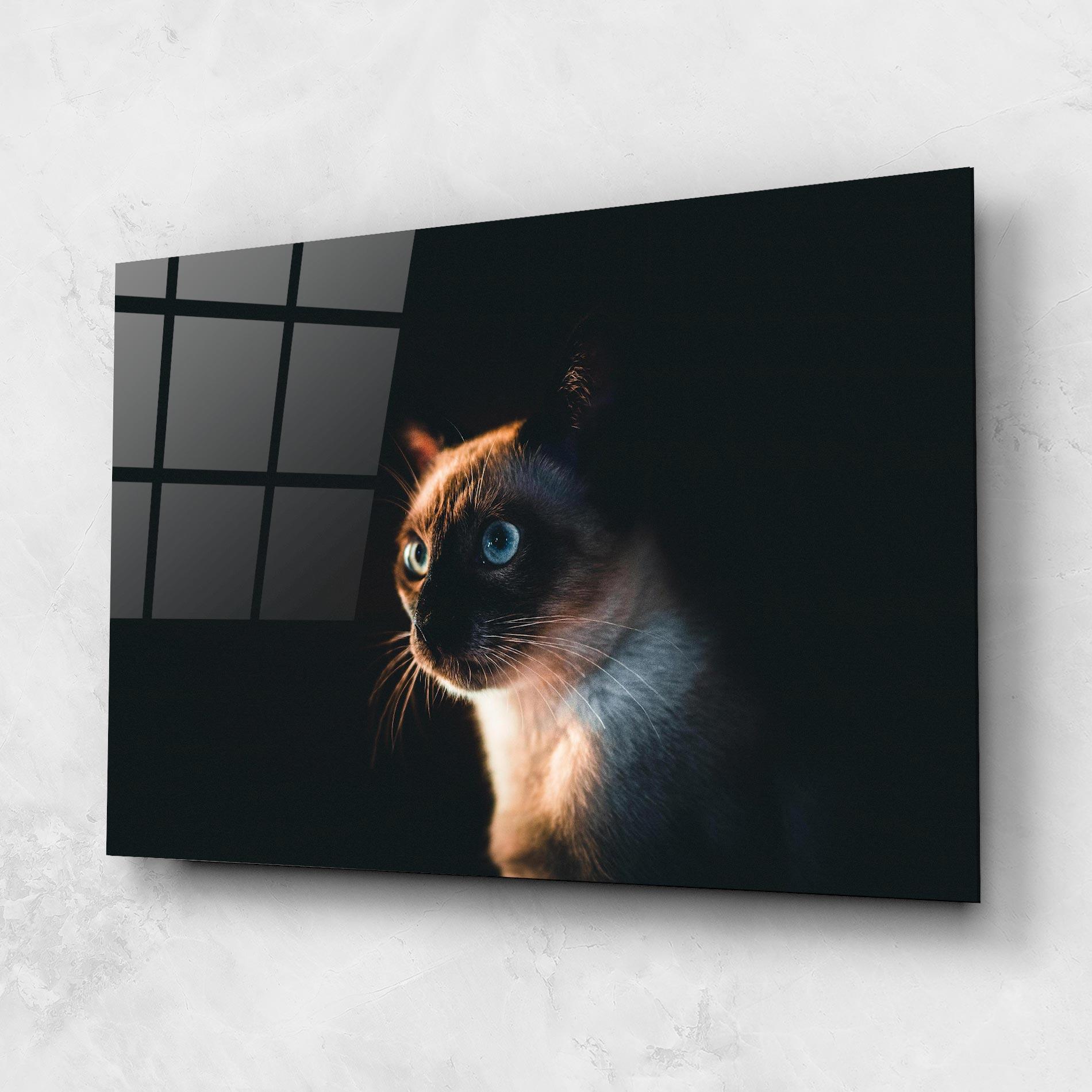 Tablou Sticla Blue Eyes Cat In Dark mockup 1