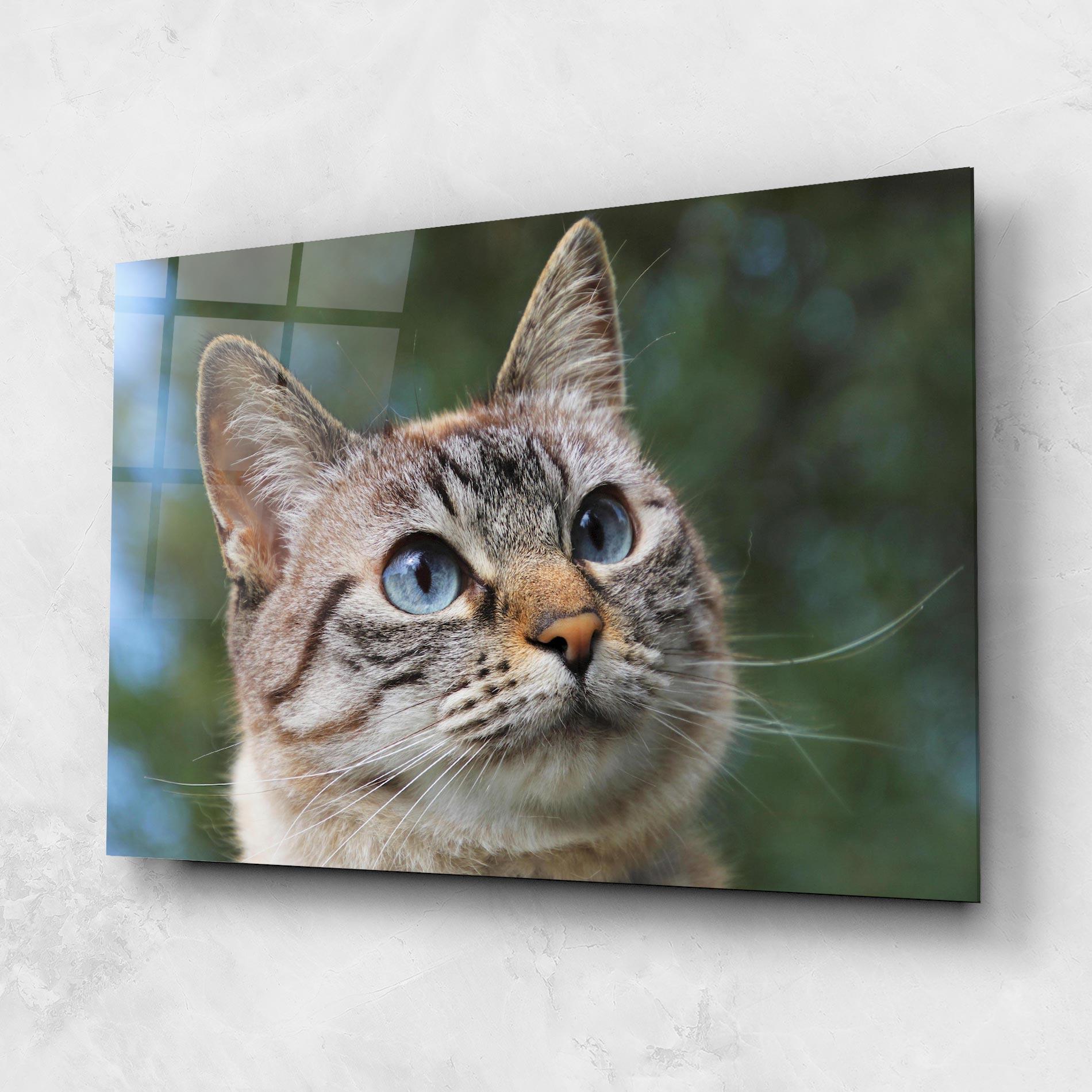 Tablou Sticla Blue Eyes Cutie mockup 1