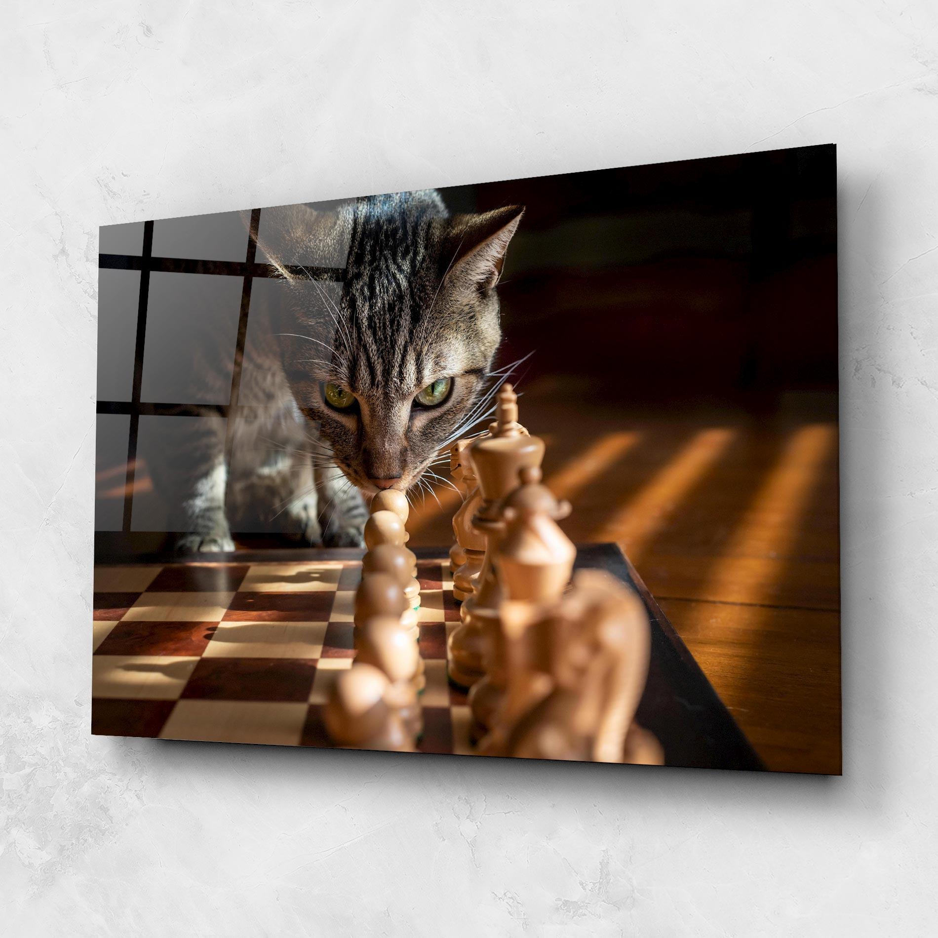 Tablou Sticla Chess Cat mockup 1