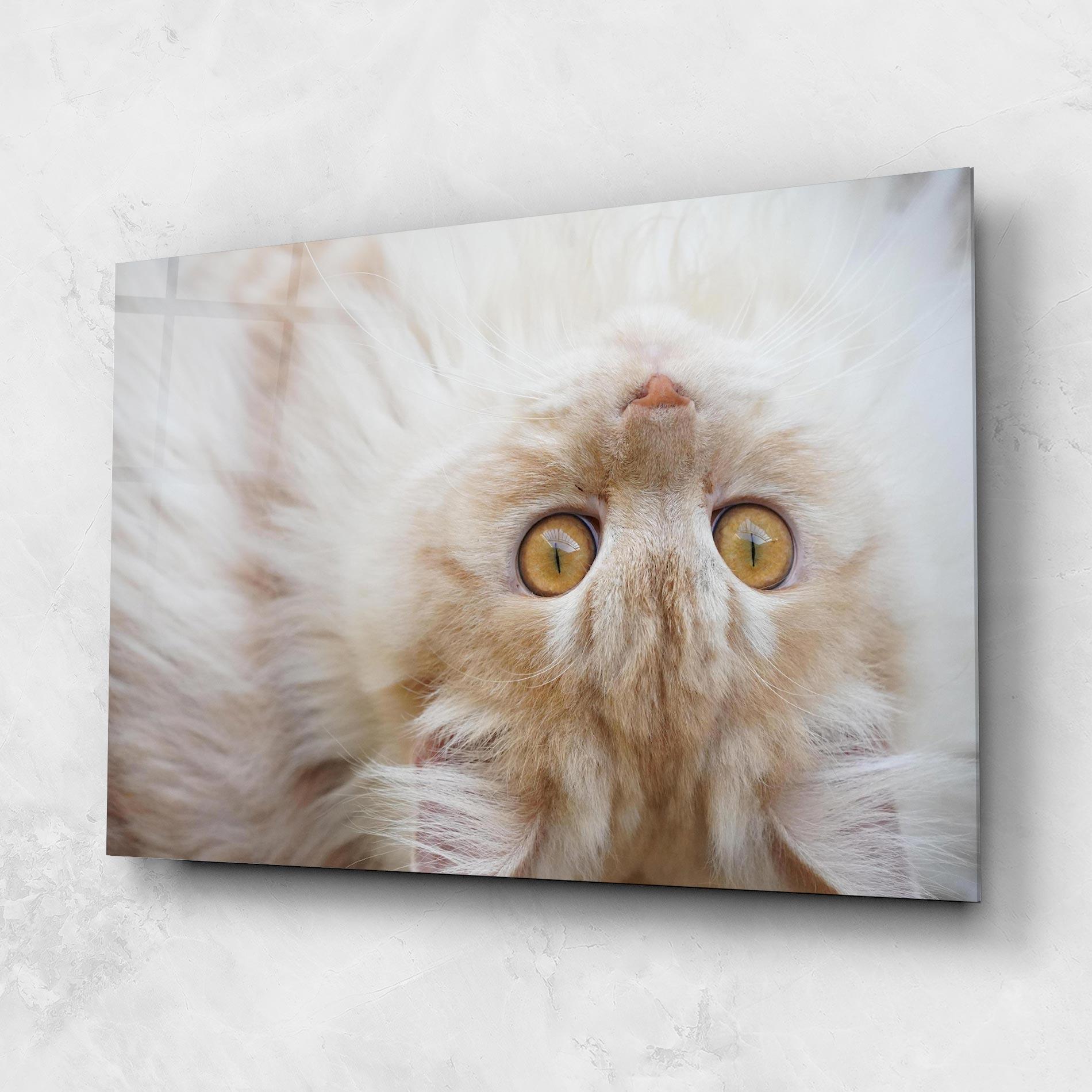 Tablou Sticla Close Up Yellow Eyes Cat mockup 1