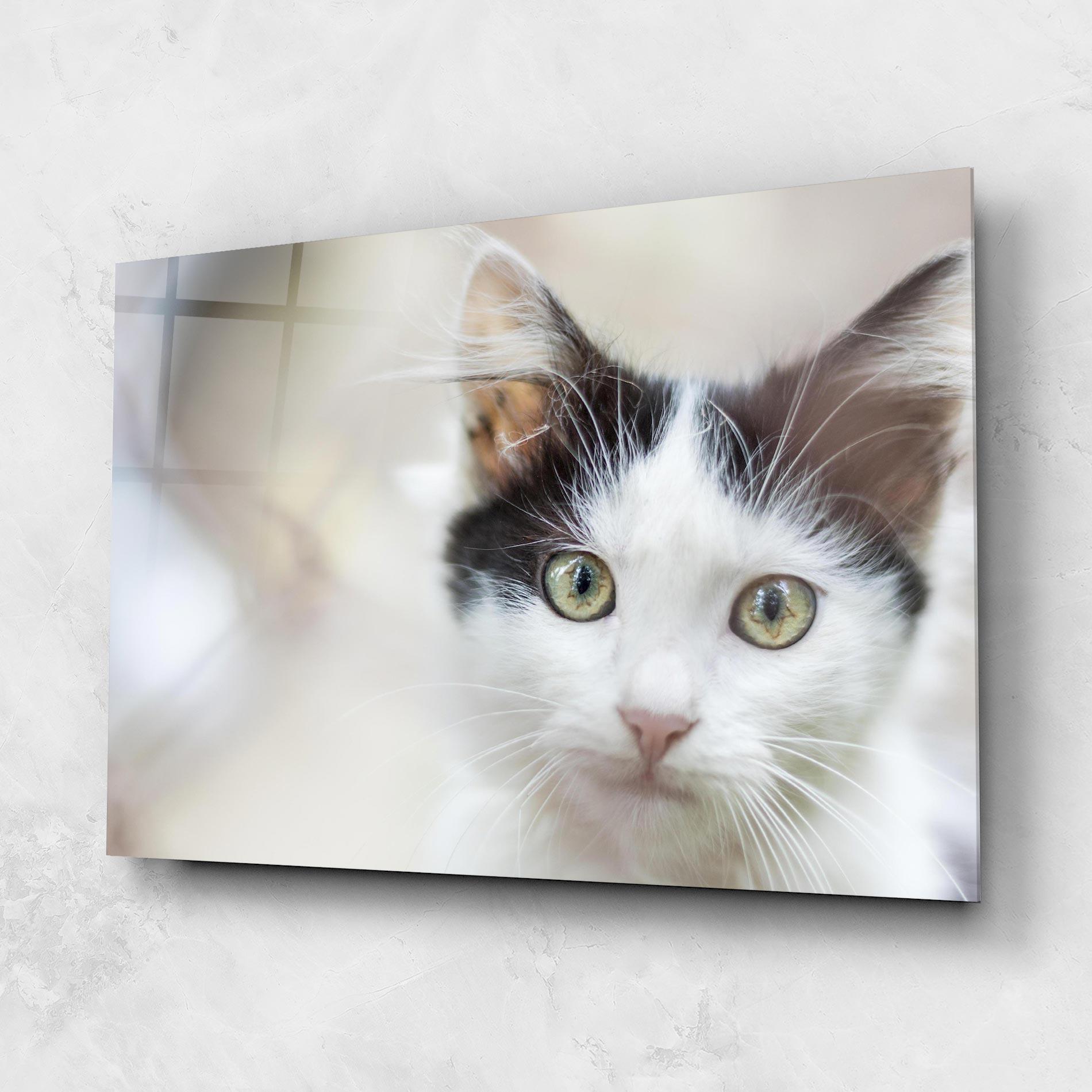 Tablou Sticla Cutie Cat mockup 1