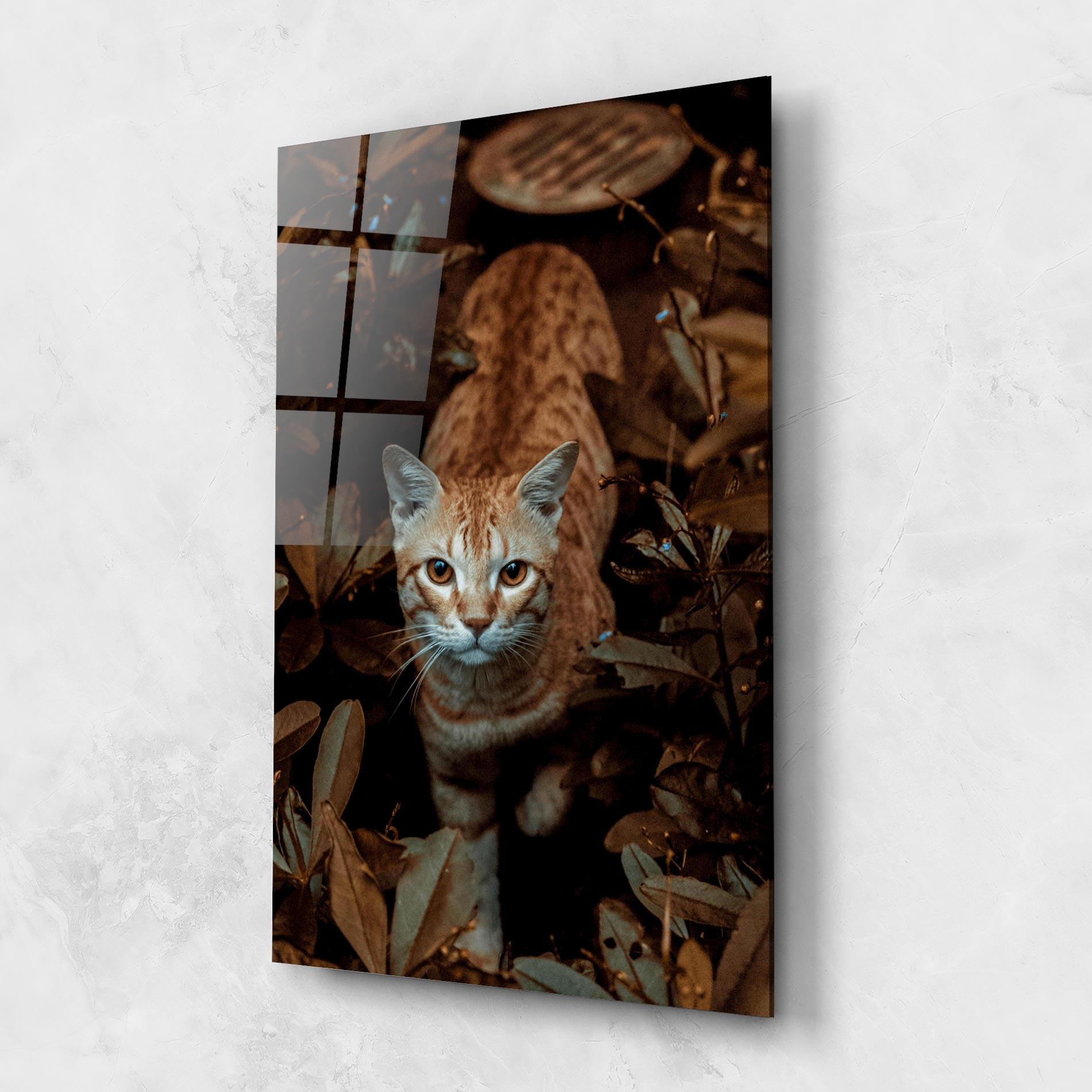 Tablou Sticla Autumn Orange Cat mockup 1
