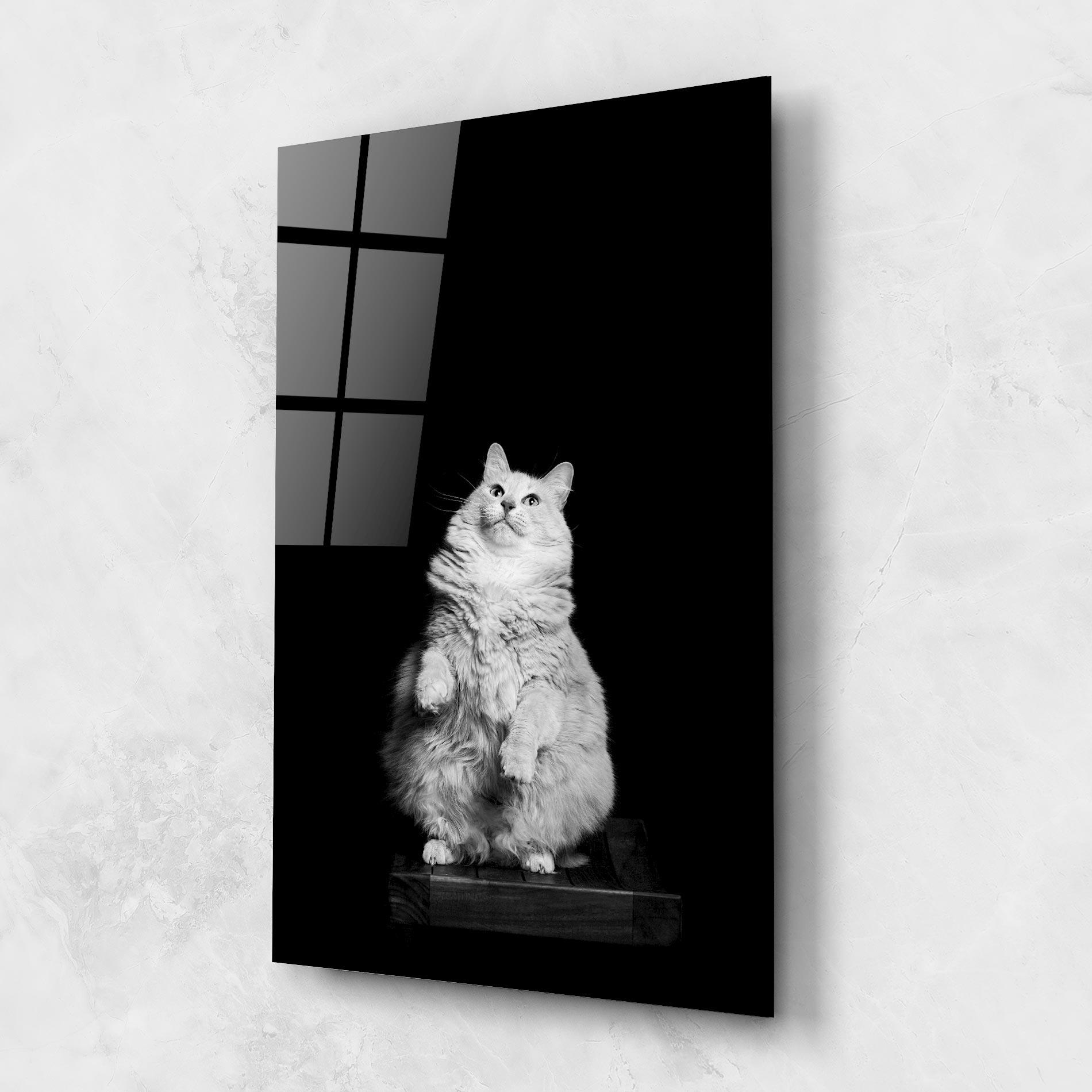 Tablou Sticla Big Fluffy Cat mockup 1