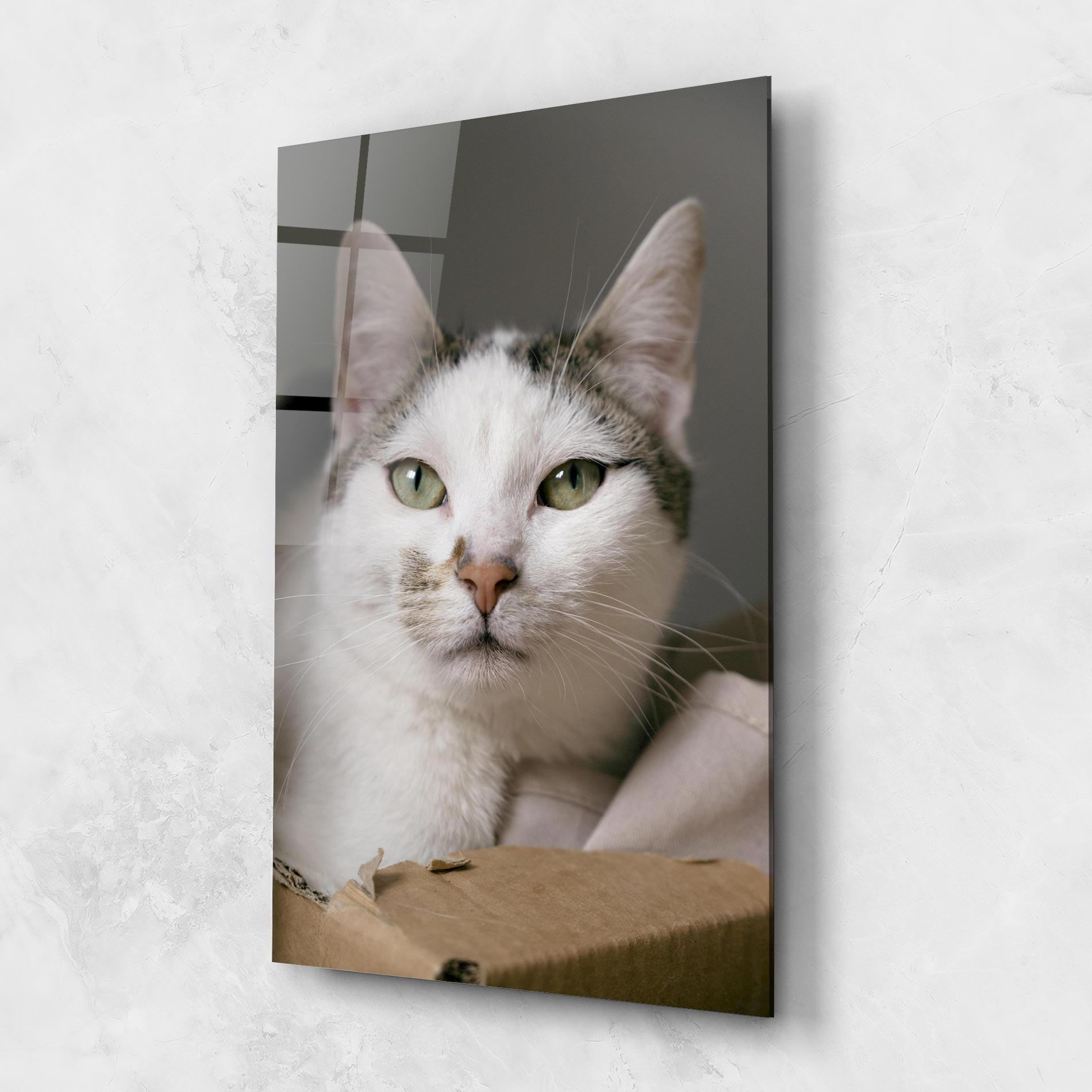 Tablou Sticla Big Sleepy Cat mockup 1