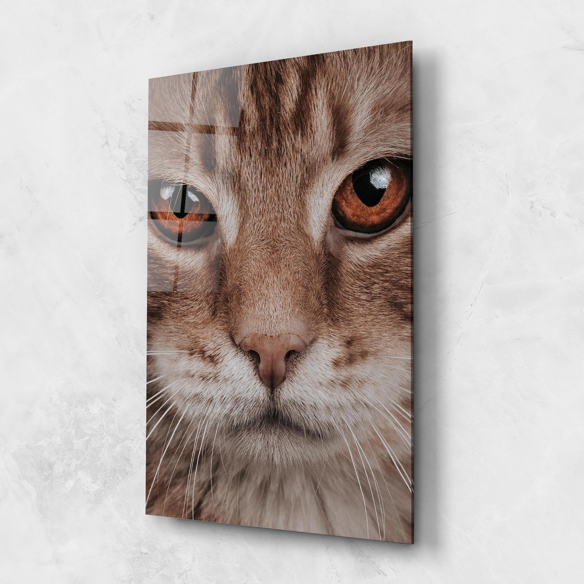 Tablou Sticla Fire Eyes Cat mockup 1