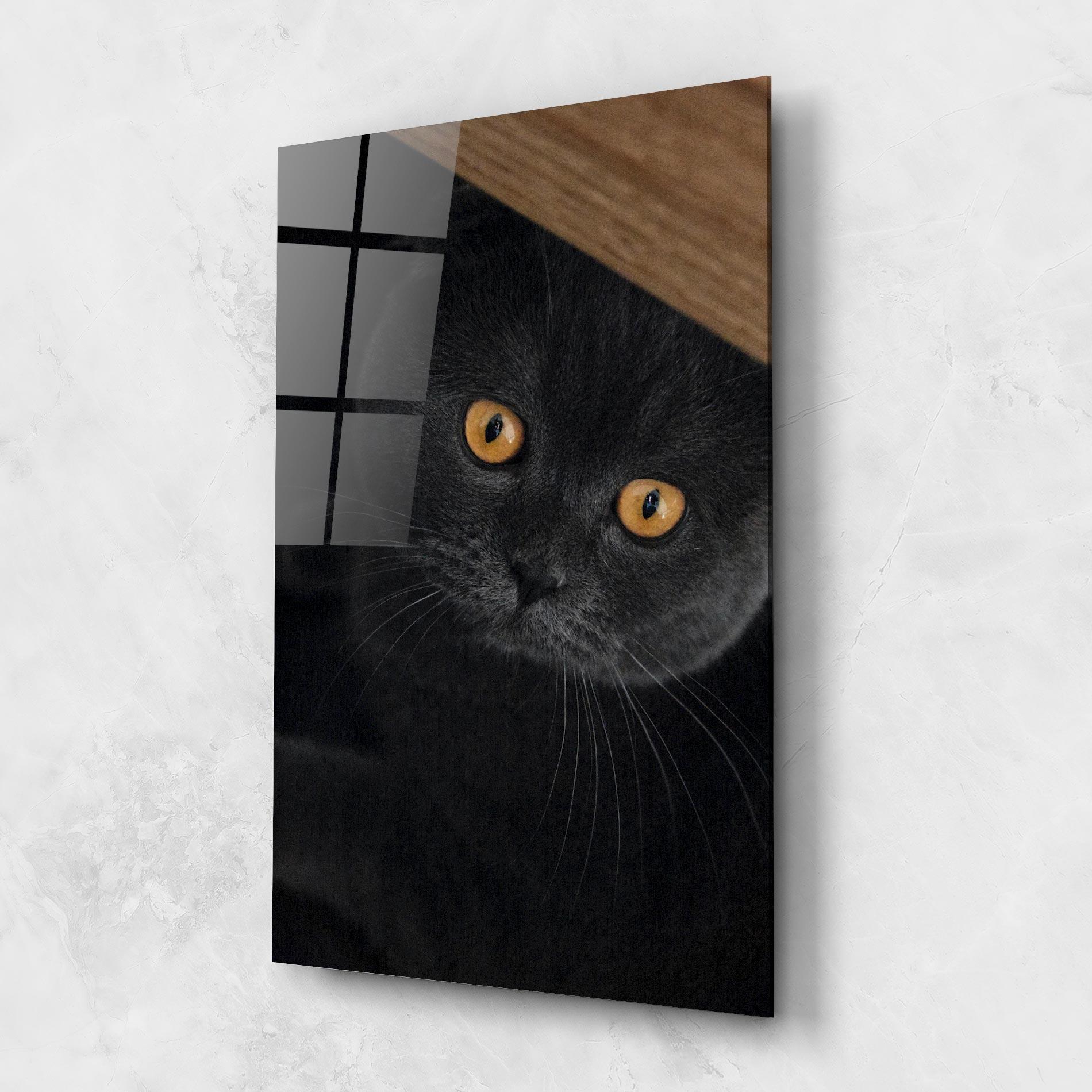 Tablou Sticla Grey Cat With Orange Eyes mockup 1