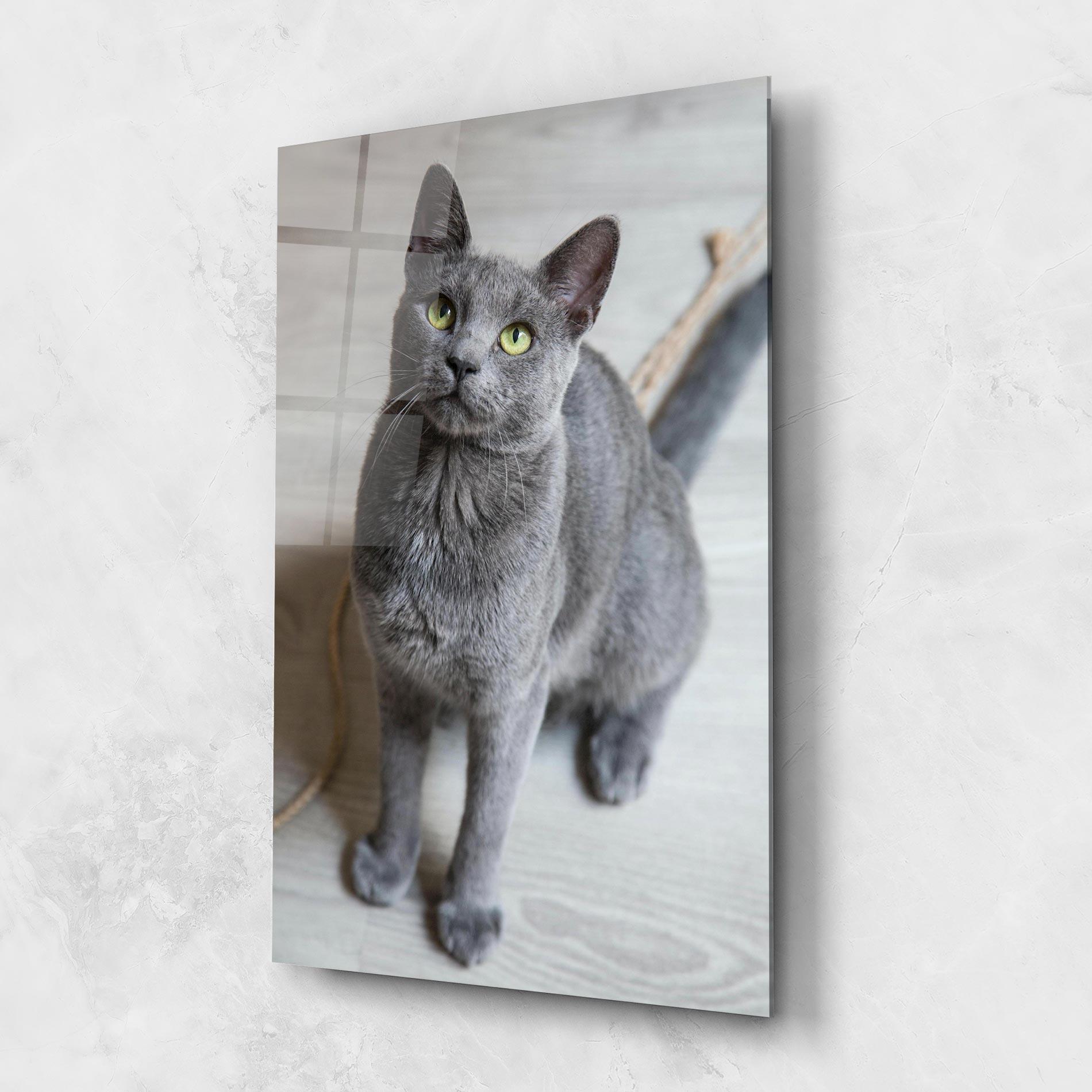 Tablou Sticla Grey Green Cat Eyes mockup 1