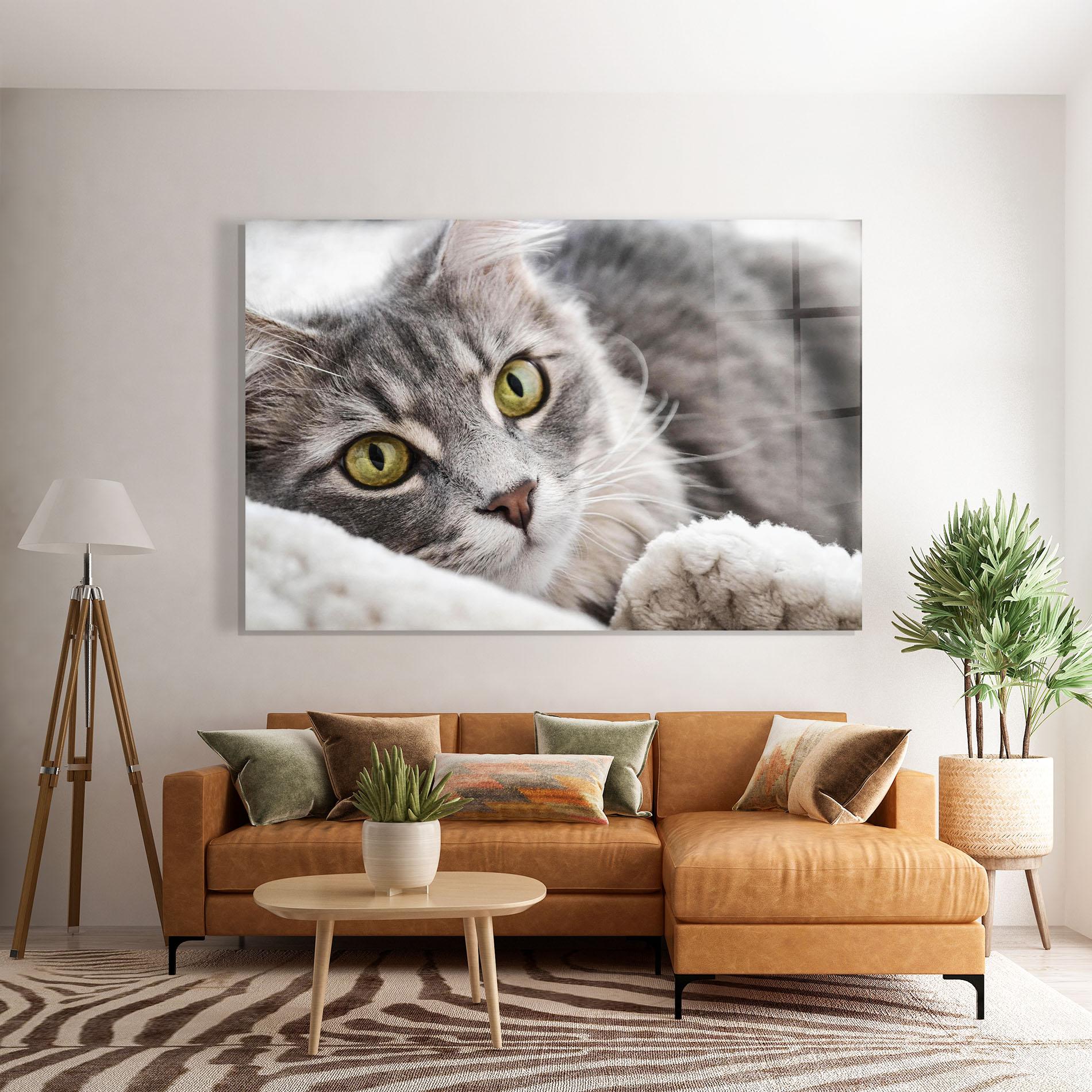 Tablou Sticla Grey Fluffy Cat mockup 7