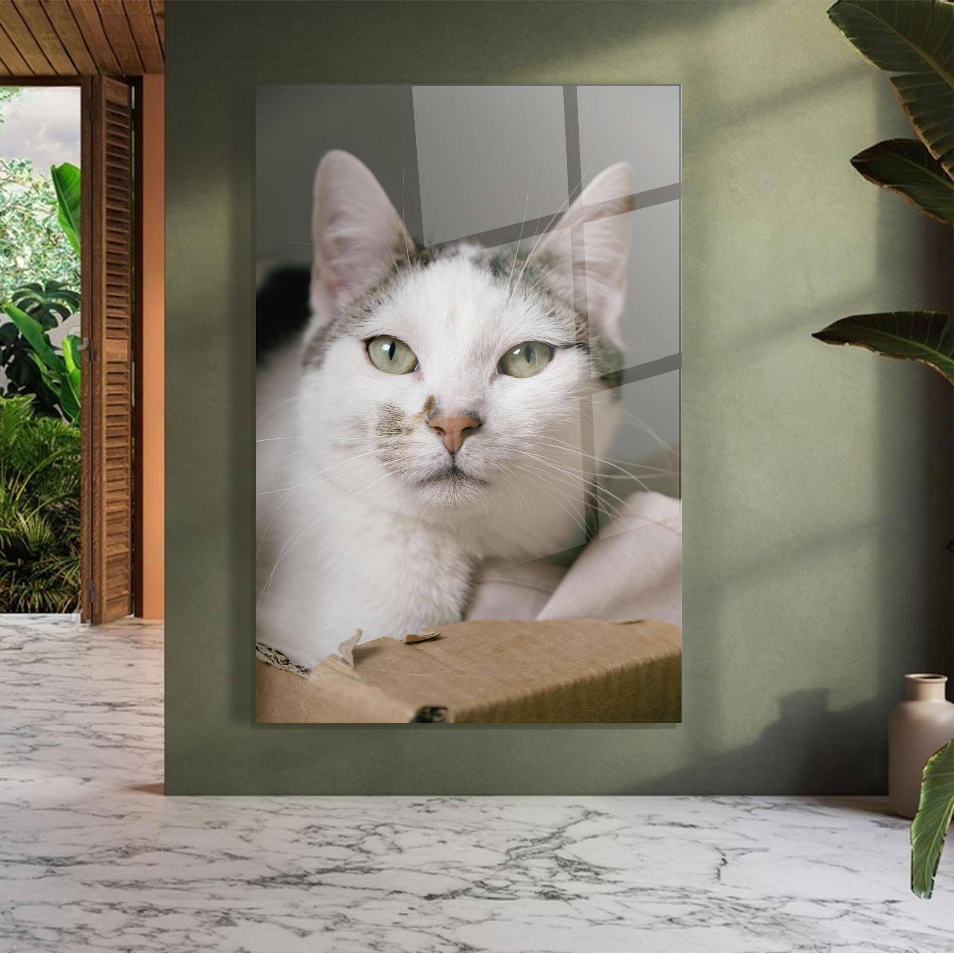 Tablou Sticla Big Sleepy Cat mockup 7