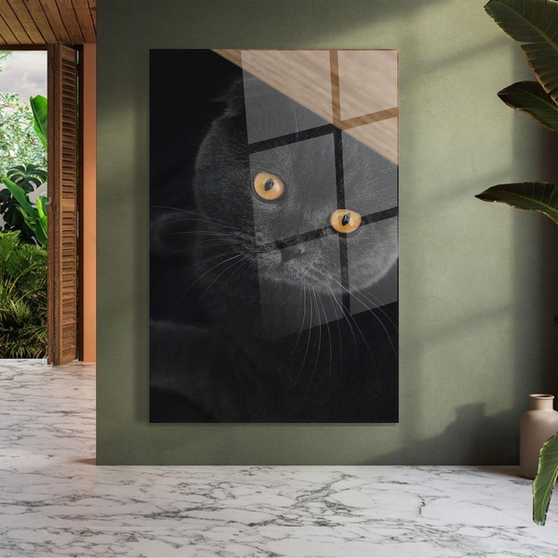 Tablou Sticla Grey Cat With Orange Eyes mockup 7