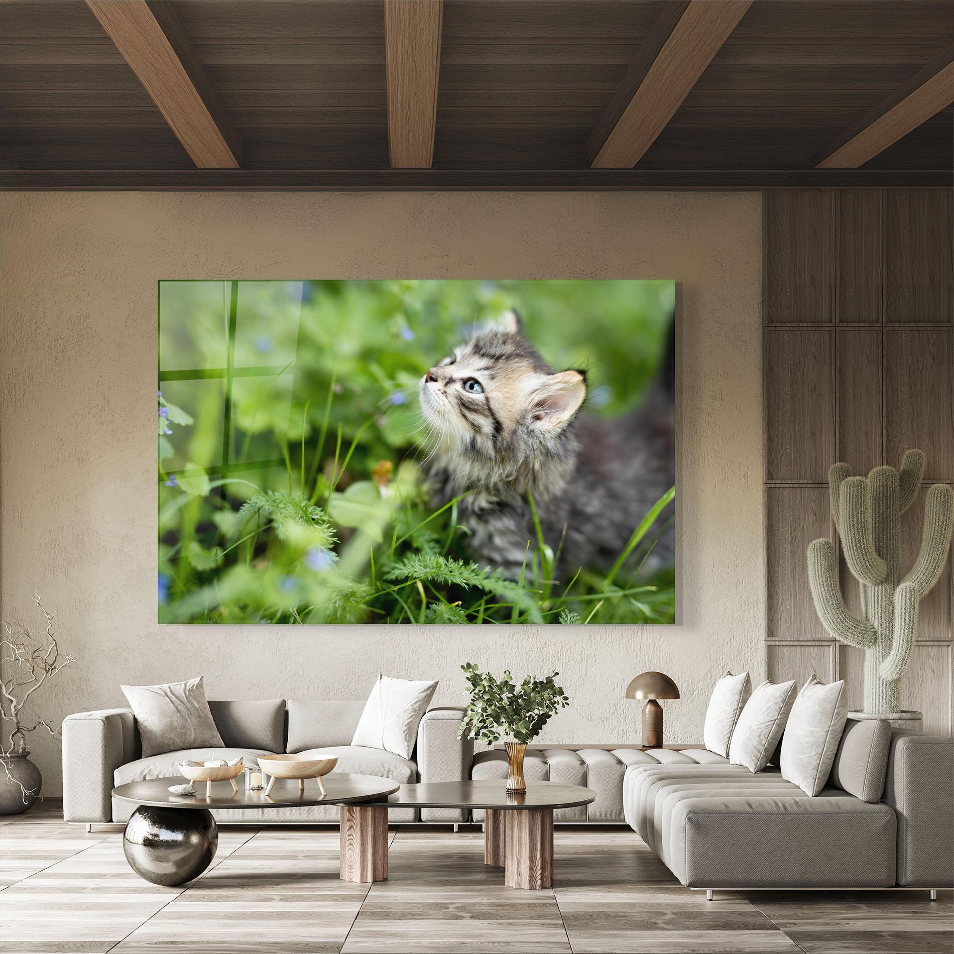 Tablou Sticla Brown Baby Cat mockup 8