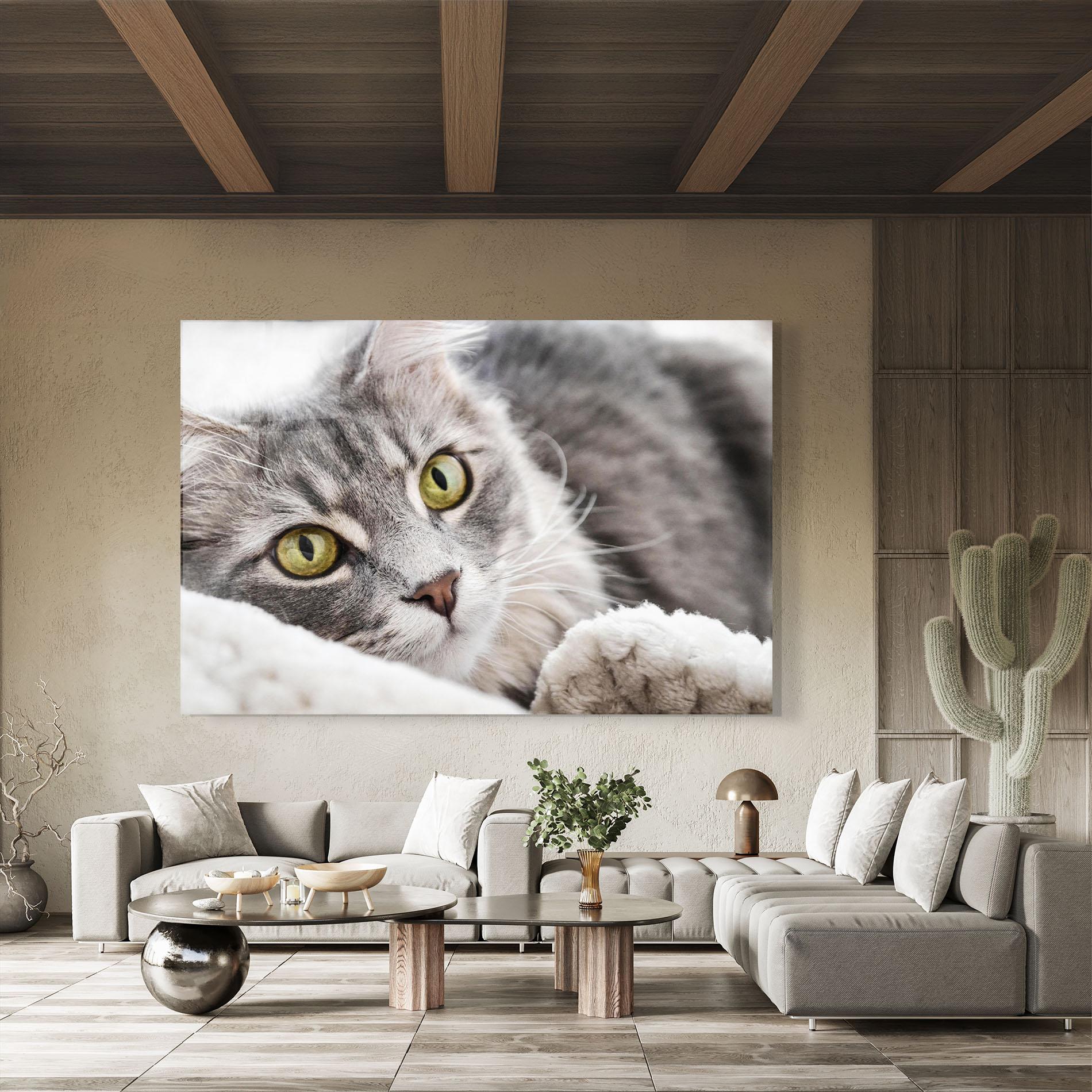 Tablou Sticla Grey Fluffy Cat mockup 8